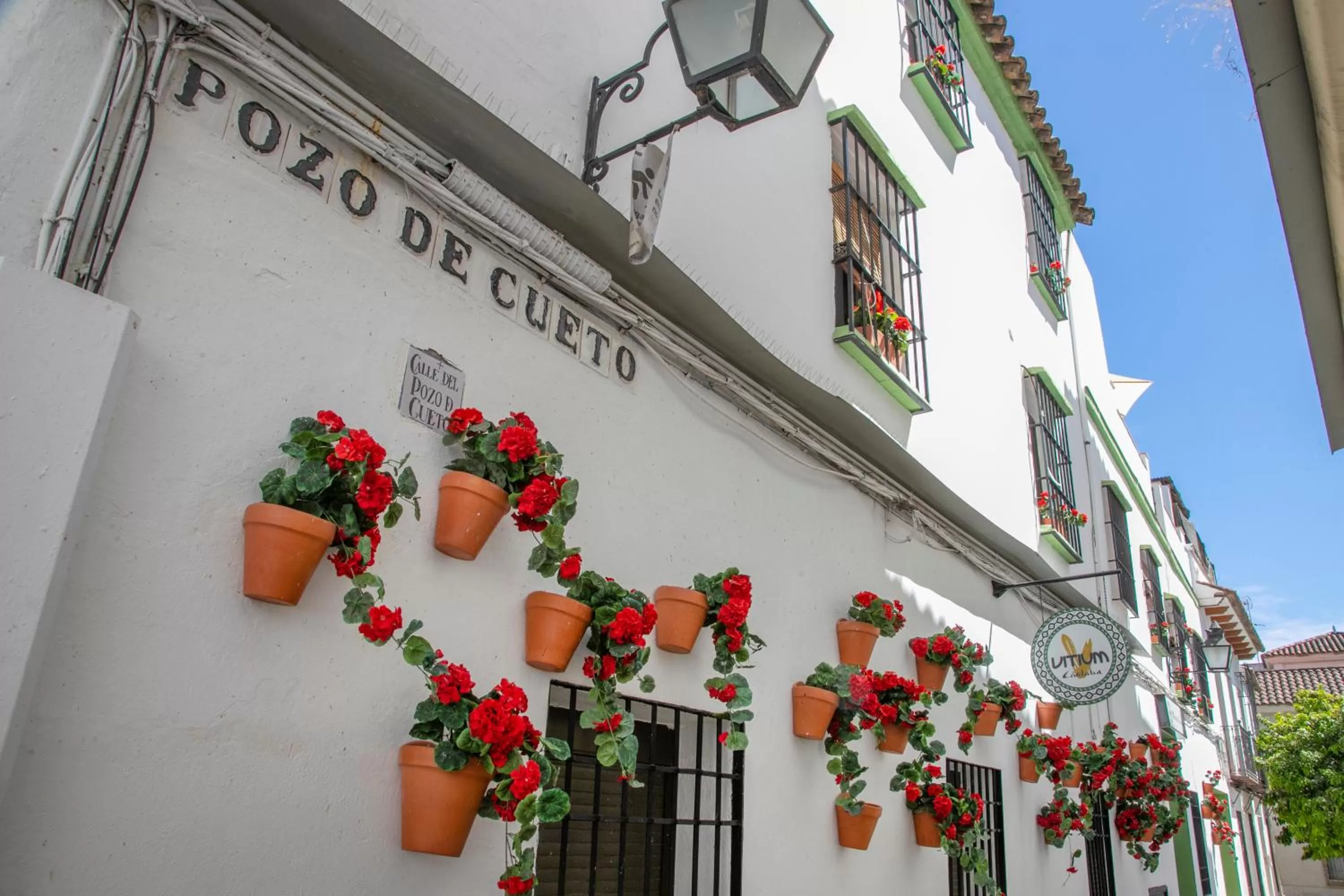 Property building in Vitium Córdoba