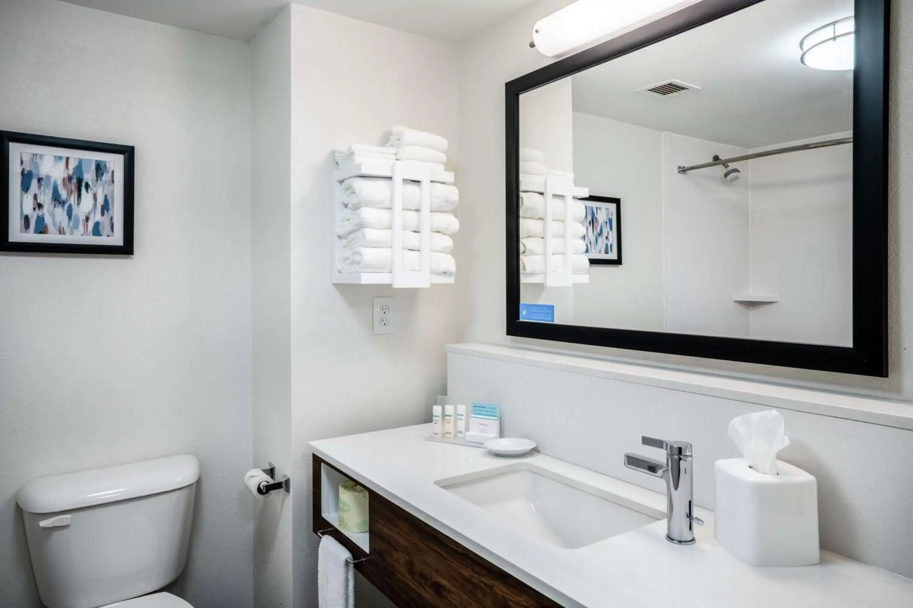 Bathroom in Hampton Inn & Suites Opelika-I-85 Auburn Area