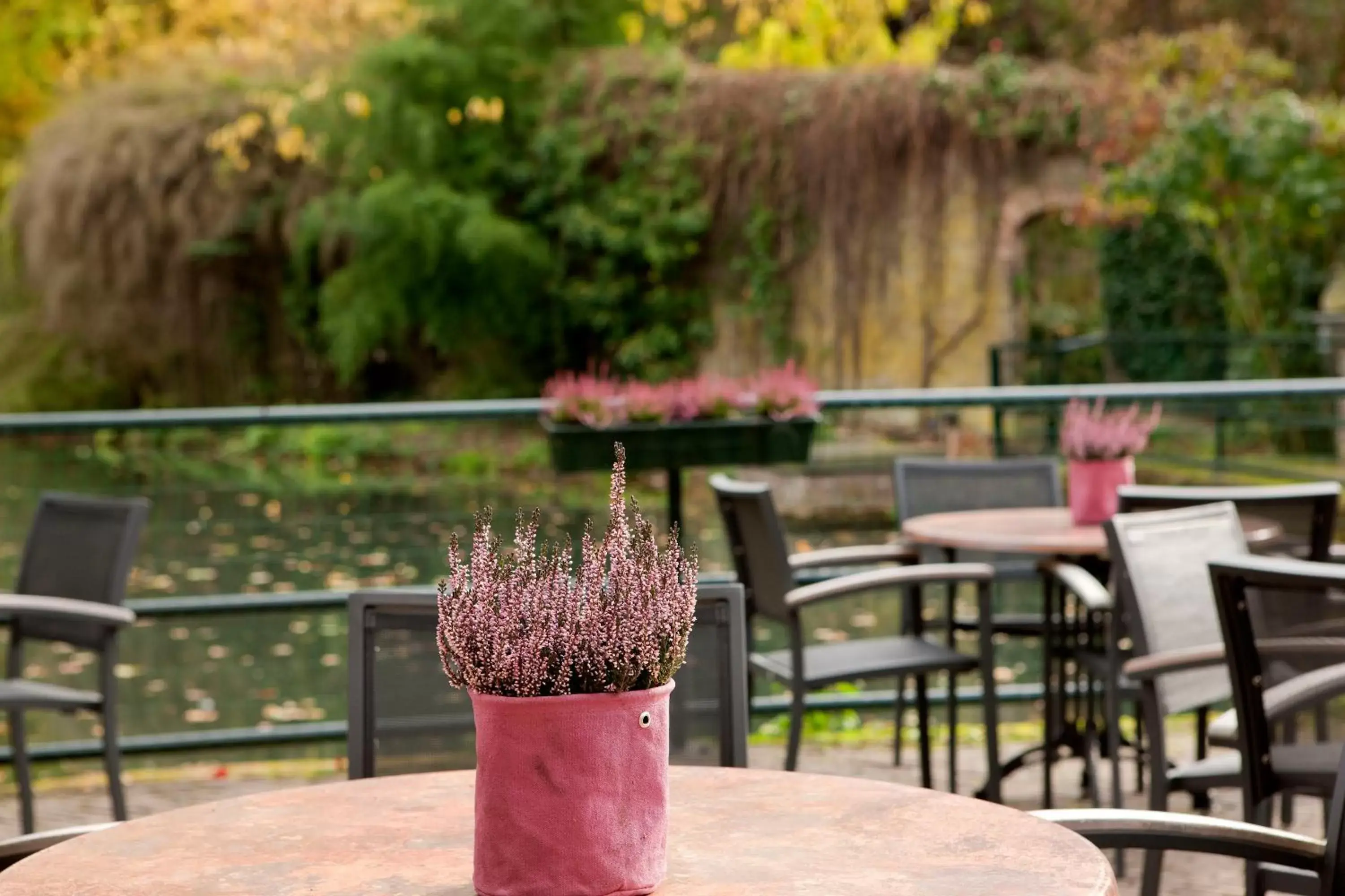 Balcony/Terrace in Hotel- en Restaurant Kasteel Elsloo