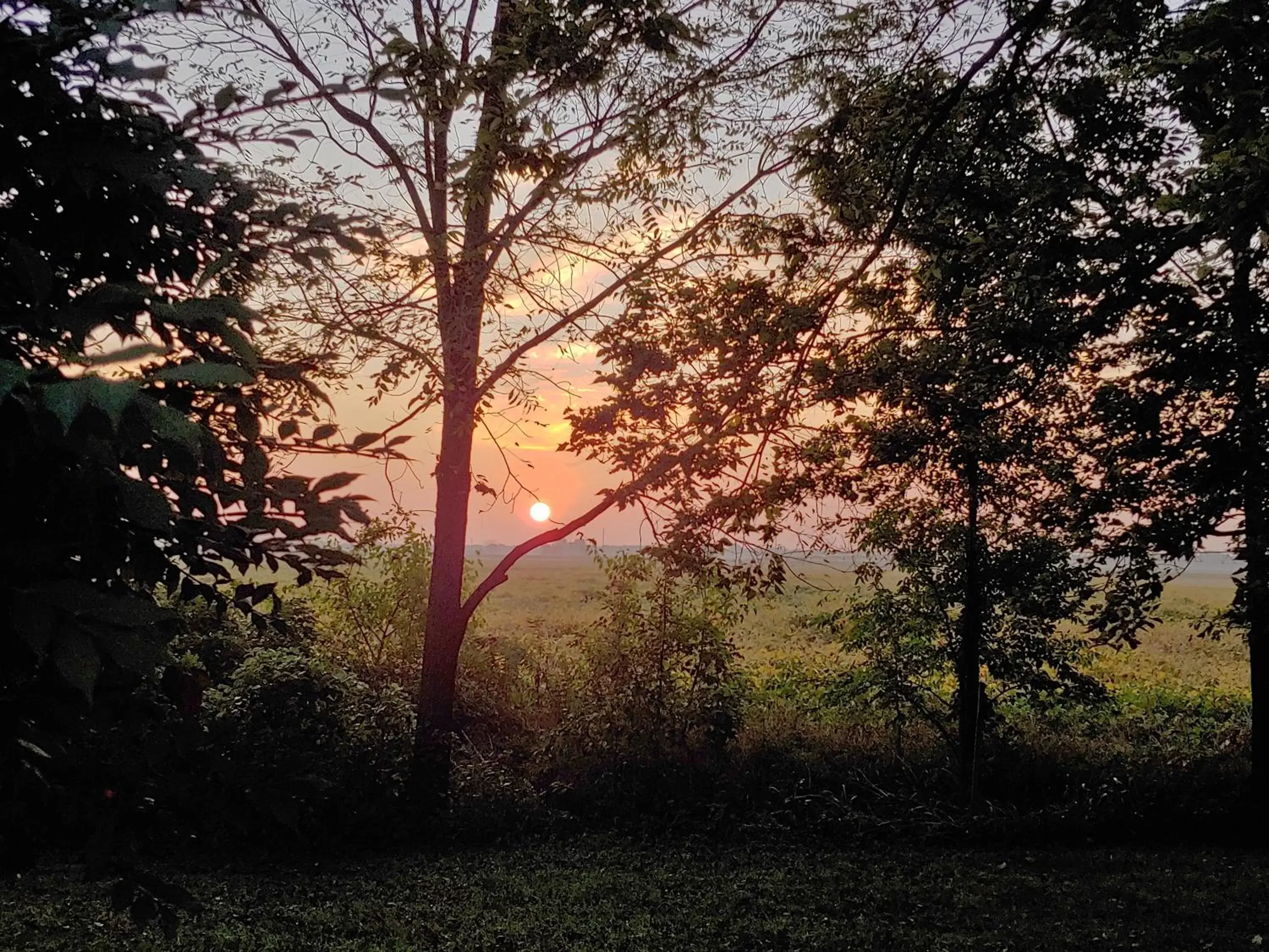 Natural landscape, Sunrise/Sunset in The Usonian Inn LLC