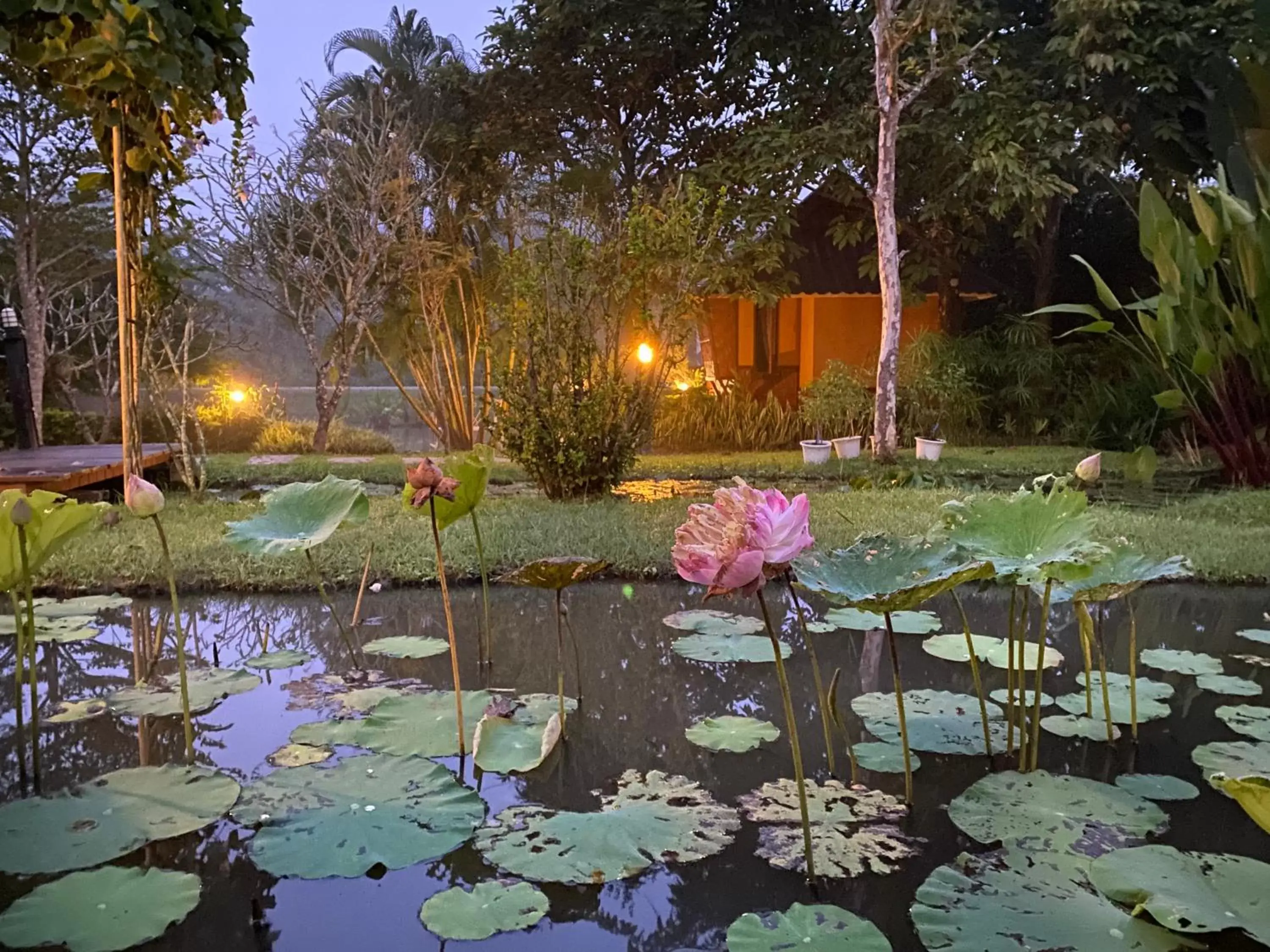 Garden in Pura Vida Pai Resort