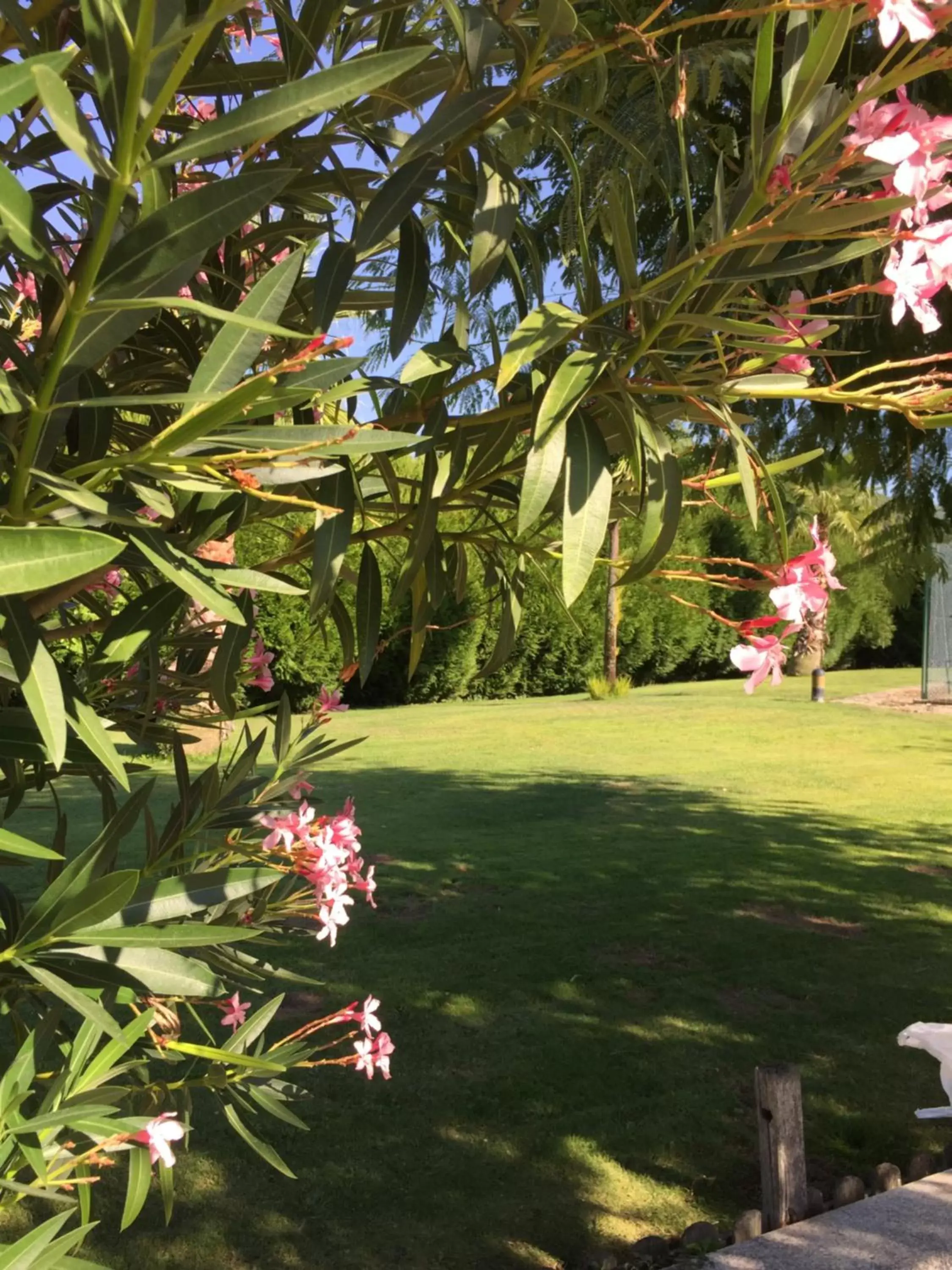 Garden view, Garden in Quinta da Vinha Morta