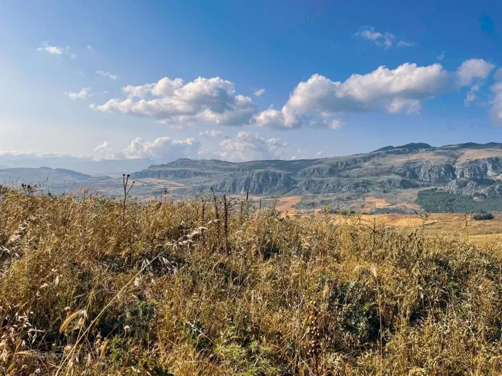 Natural Landscape in Corleone GUESTHOUSE