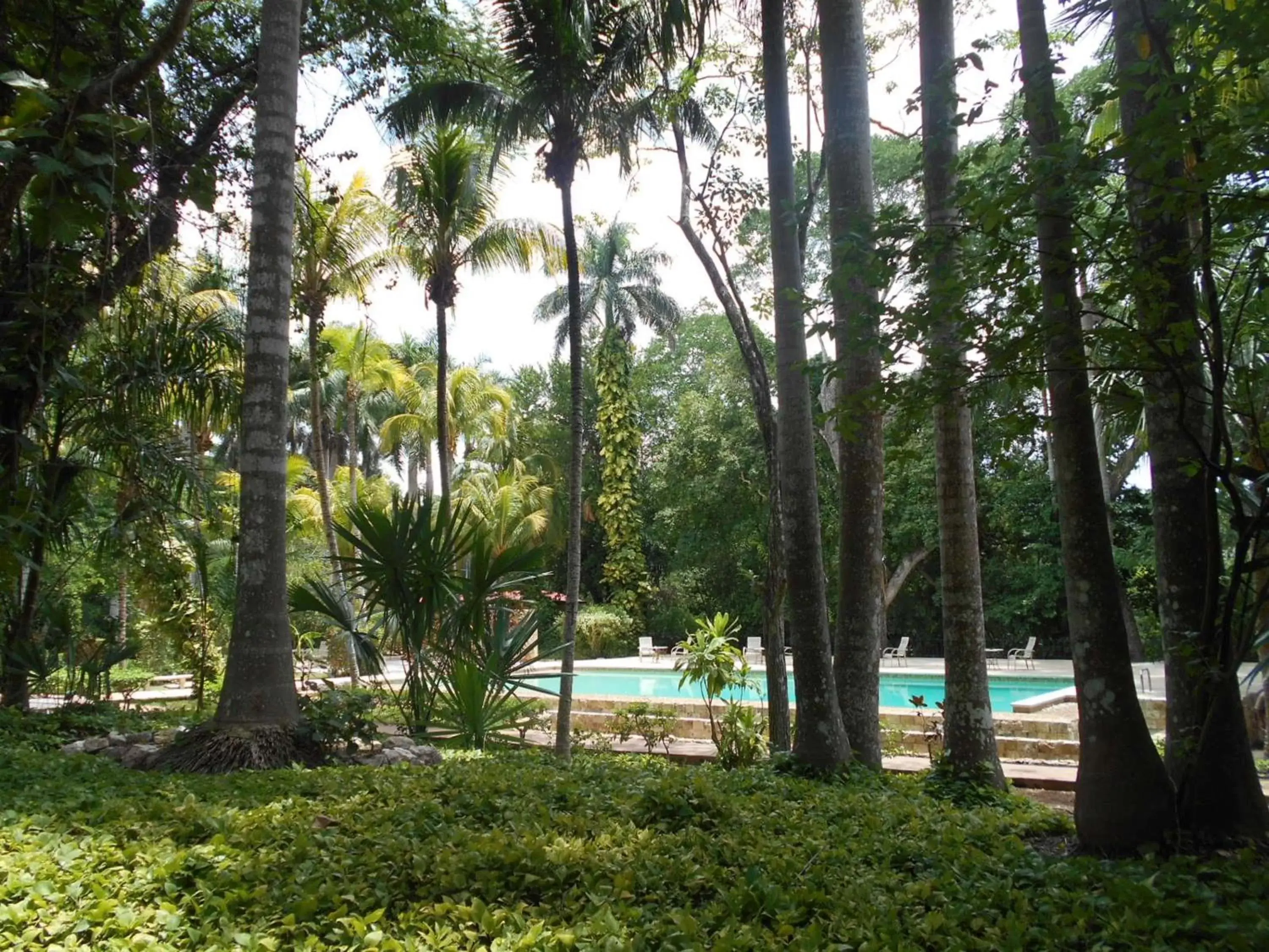 Natural landscape, Swimming Pool in Hacienda Chichen Resort and Yaxkin Spa