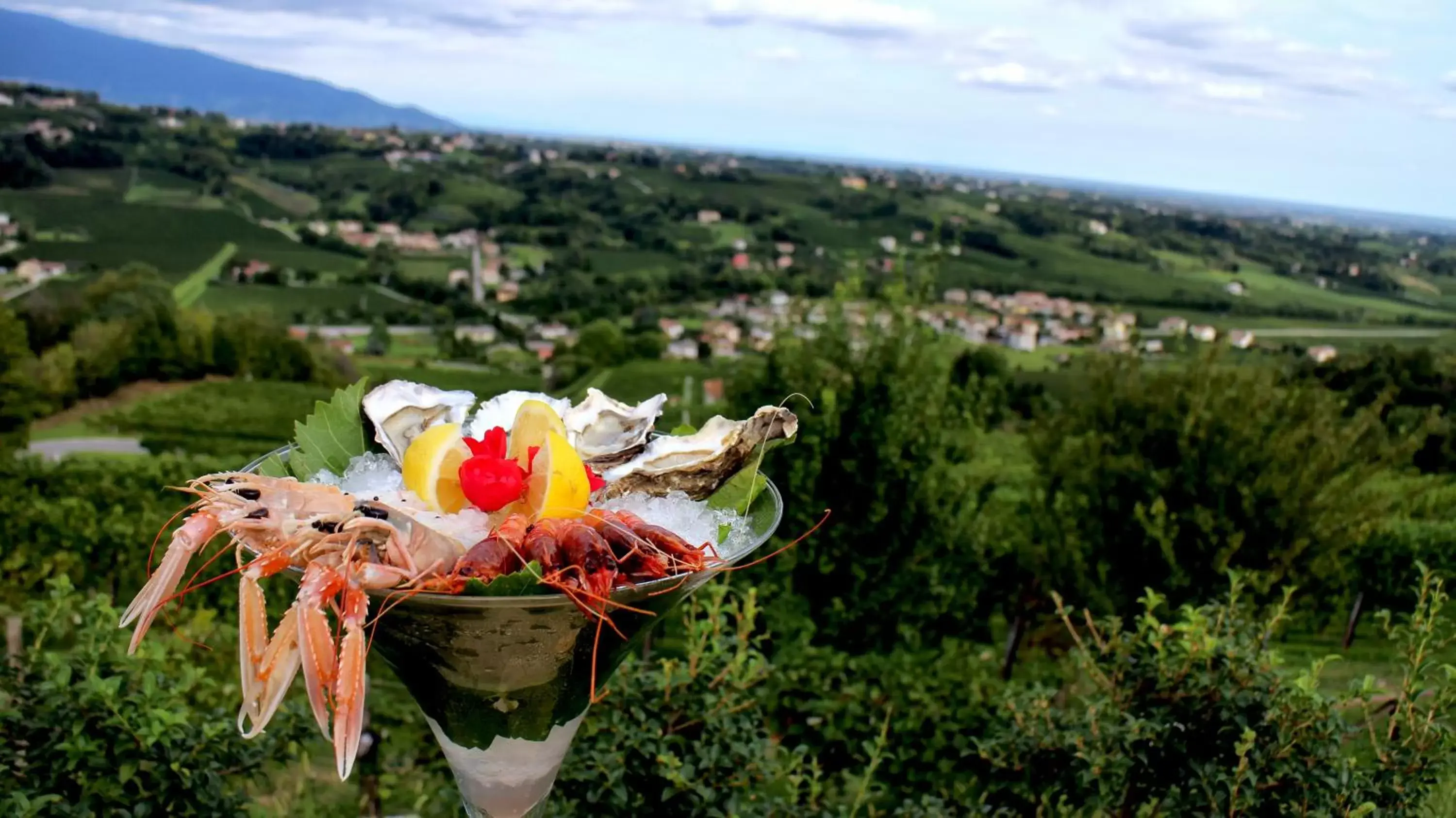 Bird's-eye View in Villa del Poggio Prosecco Bike Hotel