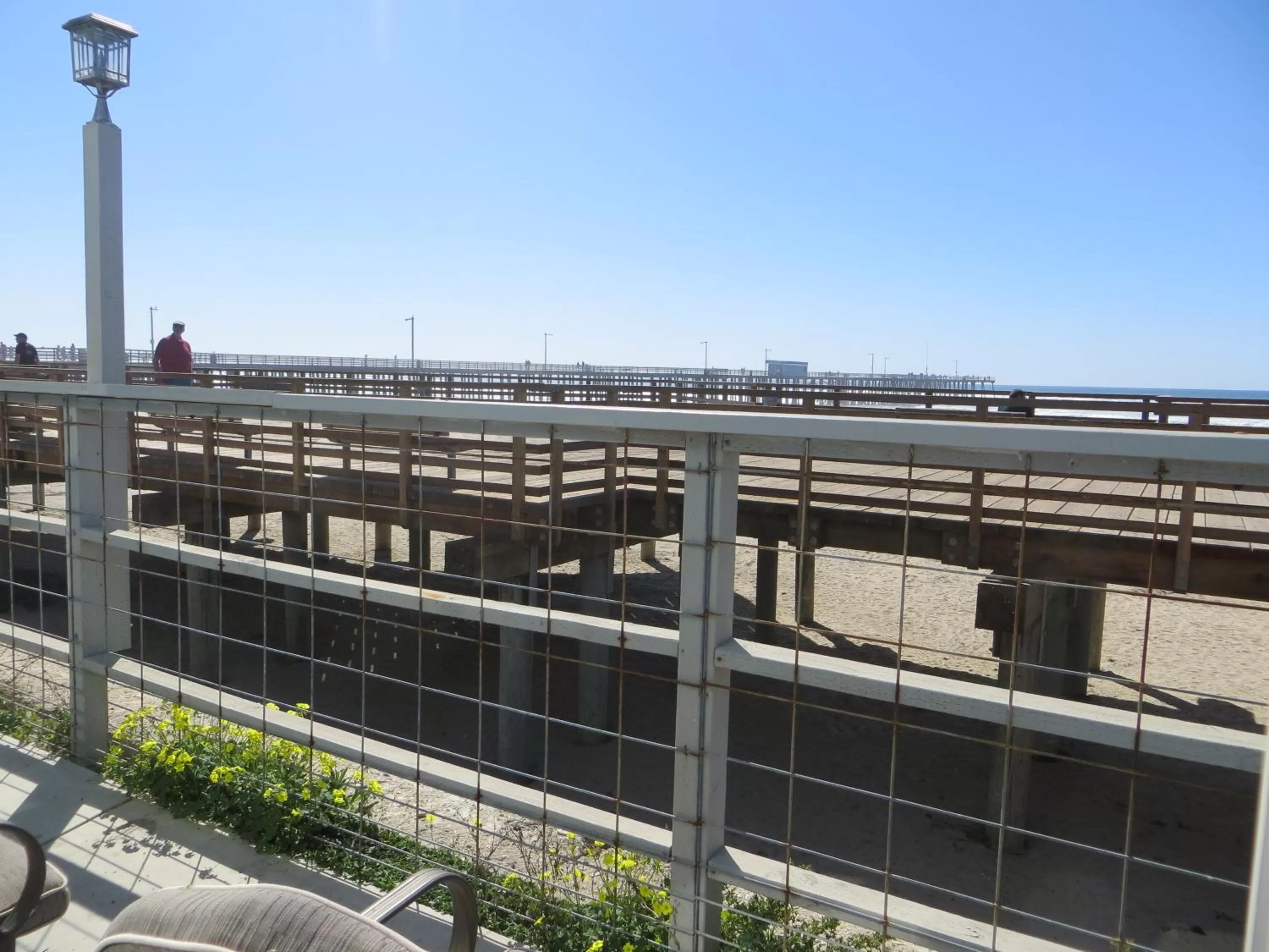 Property building in Dolphin Cove Motel