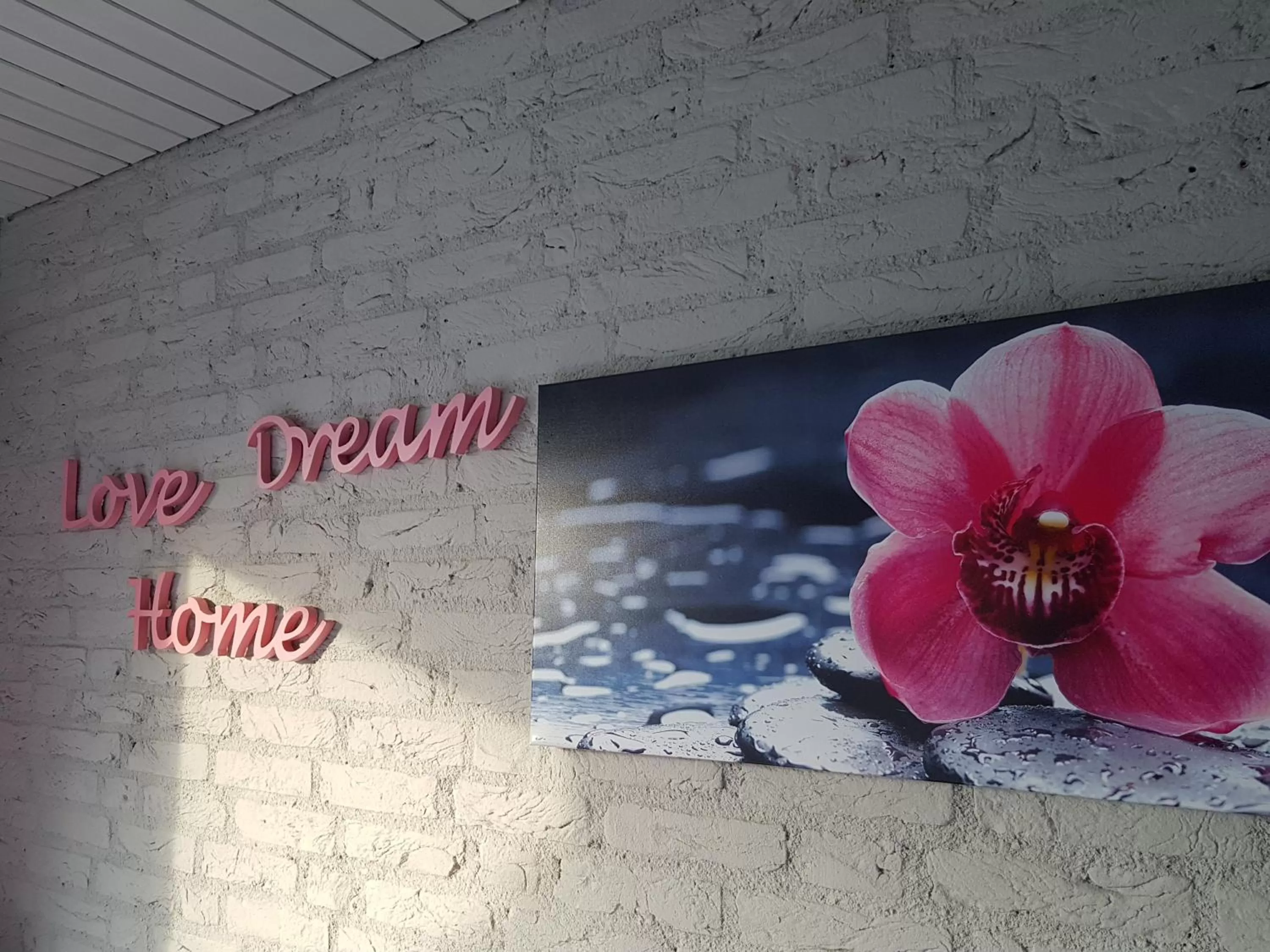 Photo of the whole room in B&B Acacia