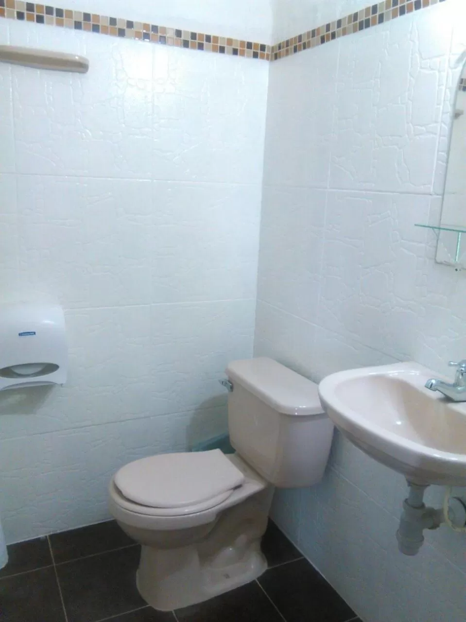 Decorative detail, Bathroom in Hotel Terrazas de la Candelaria