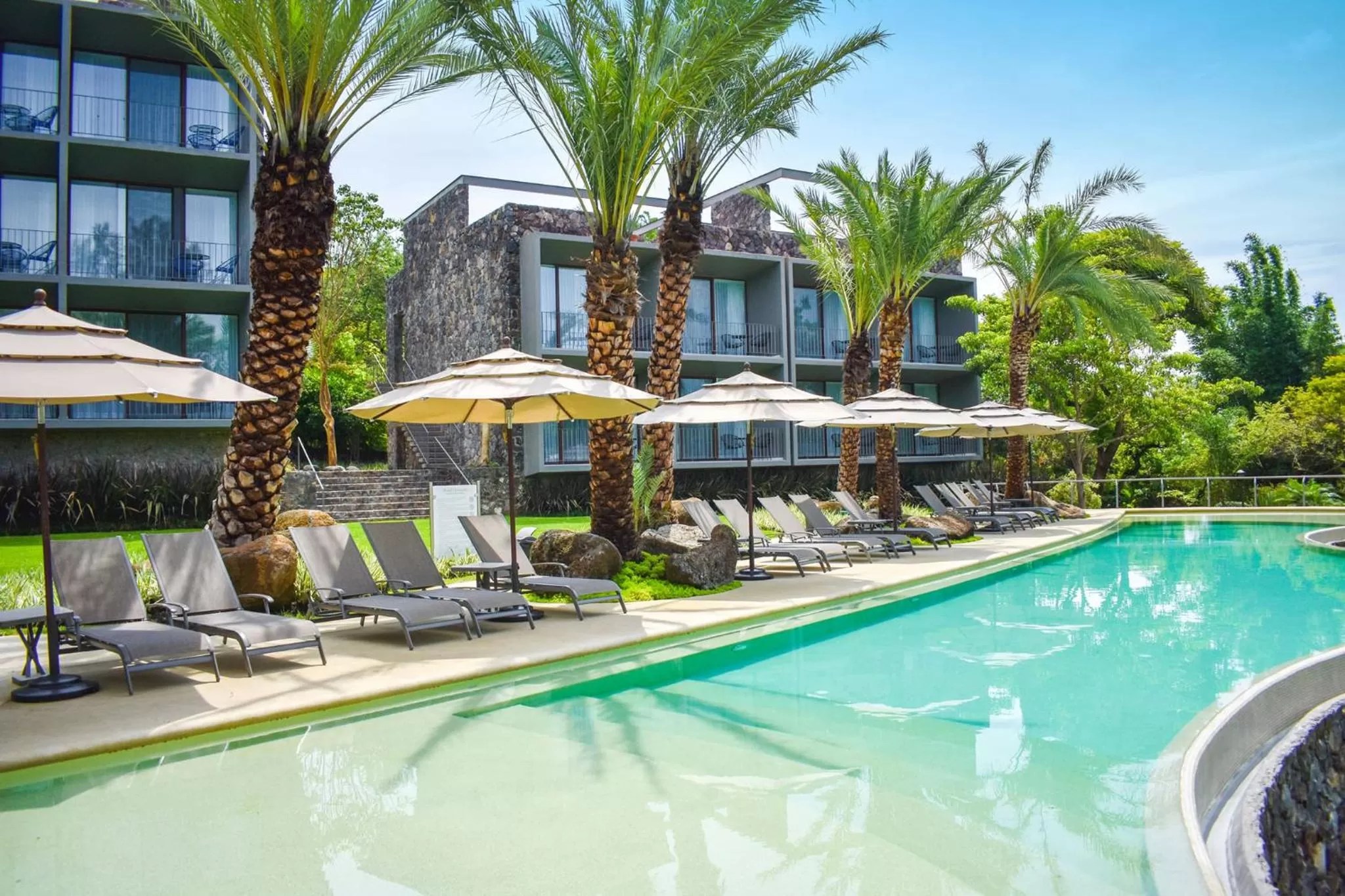 Pool view in Huayacán Cuernavaca Curamoria Collection