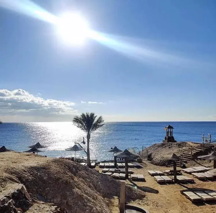 Beach in Monte Carlo Sharm Resort & Spa