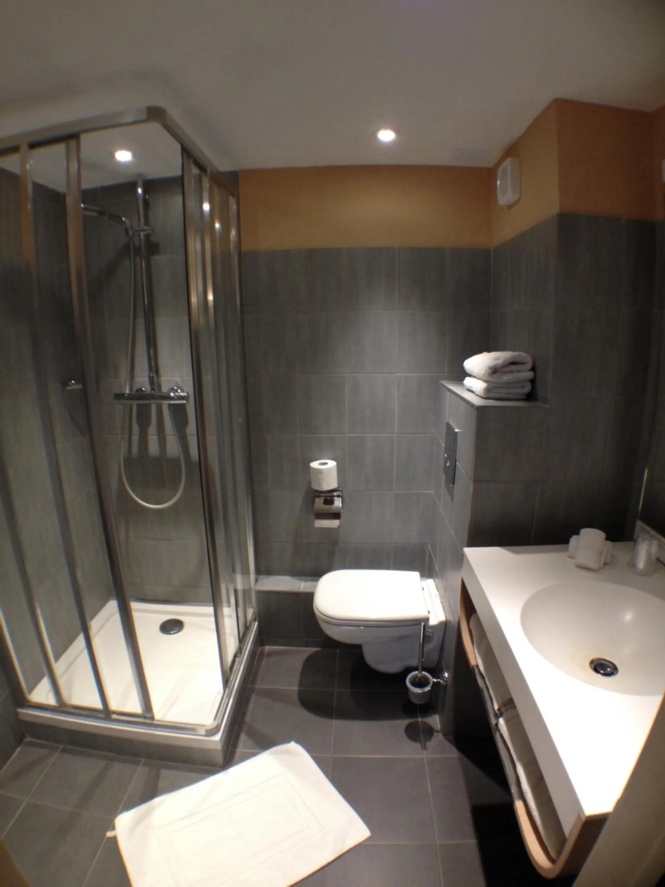 Shower in Logis Hotel la Ferme