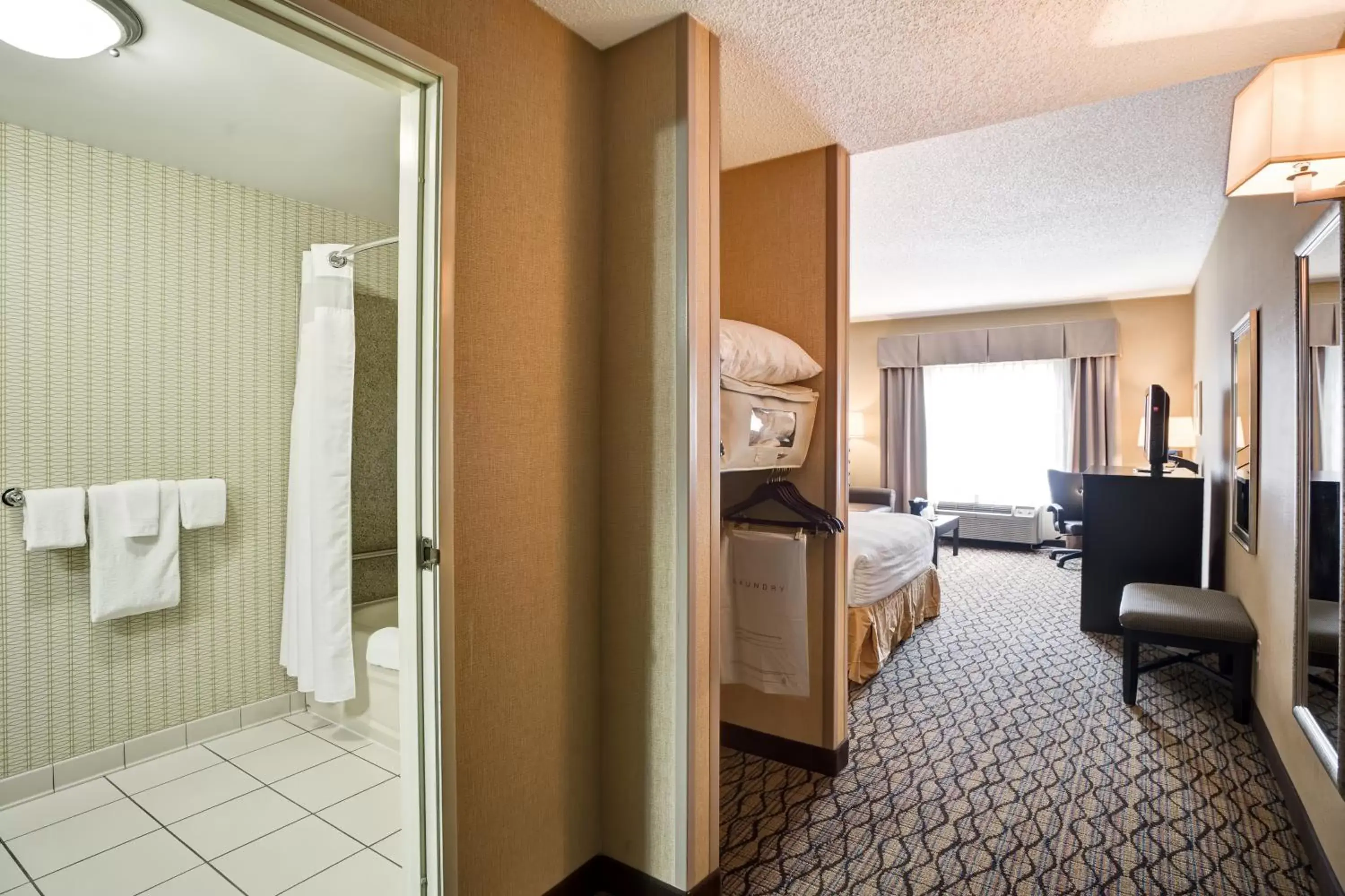 Bathroom in Holiday Inn Express Hotel & Suites Christiansburg, an IHG Hotel