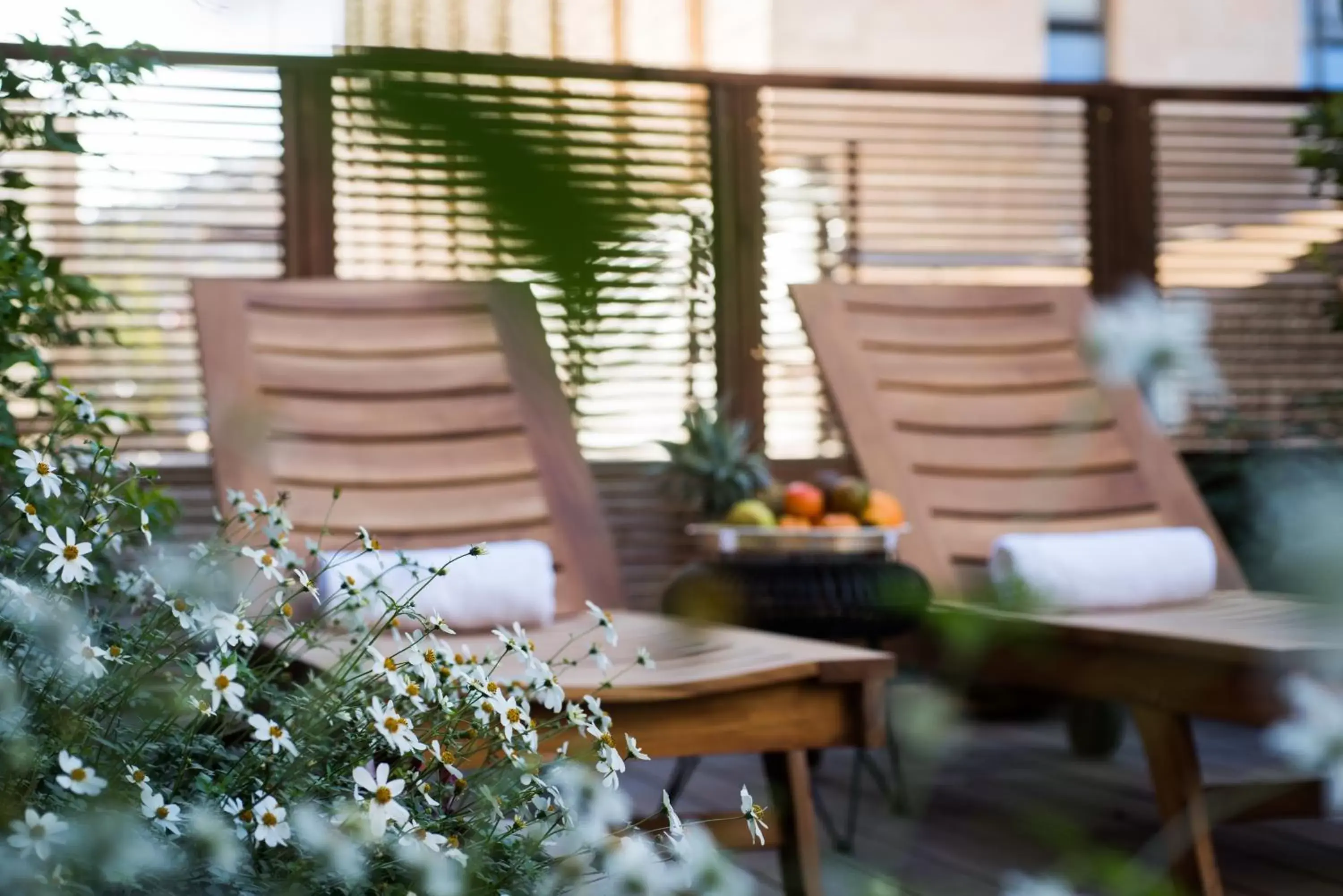 Garden in Leonardo Boutique Jerusalem