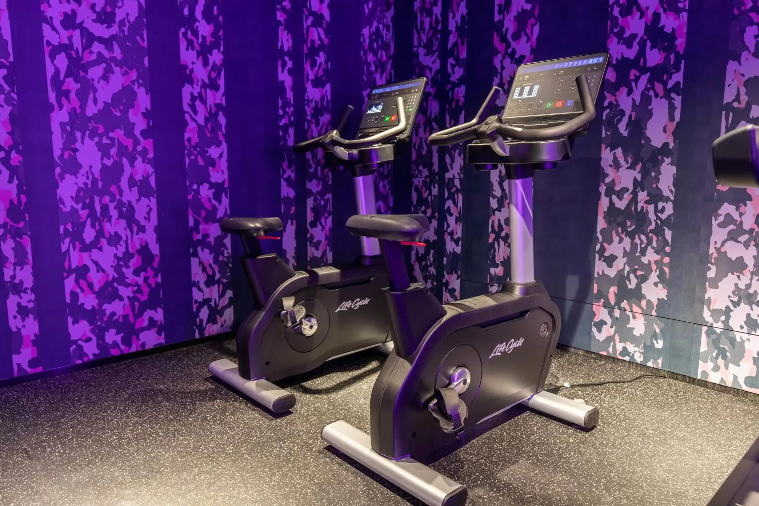 Fitness centre/facilities, Fitness Center/Facilities in Mercure Tokyu Stay Osaka Namba