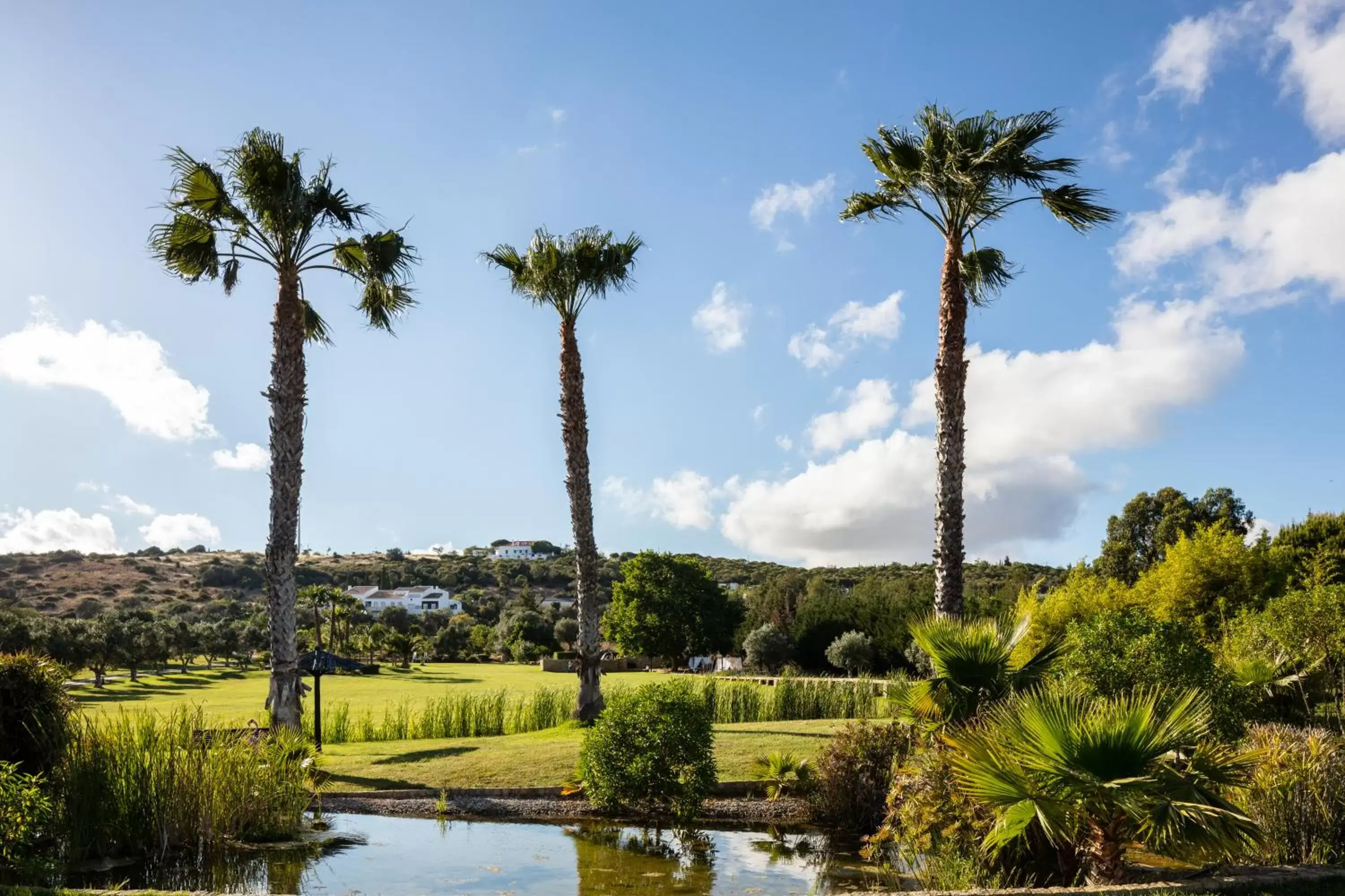 Garden in Vila Valverde Design Country Hotel