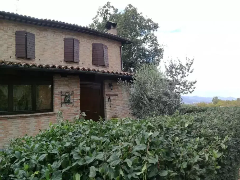 Property Building in Il Castagneto