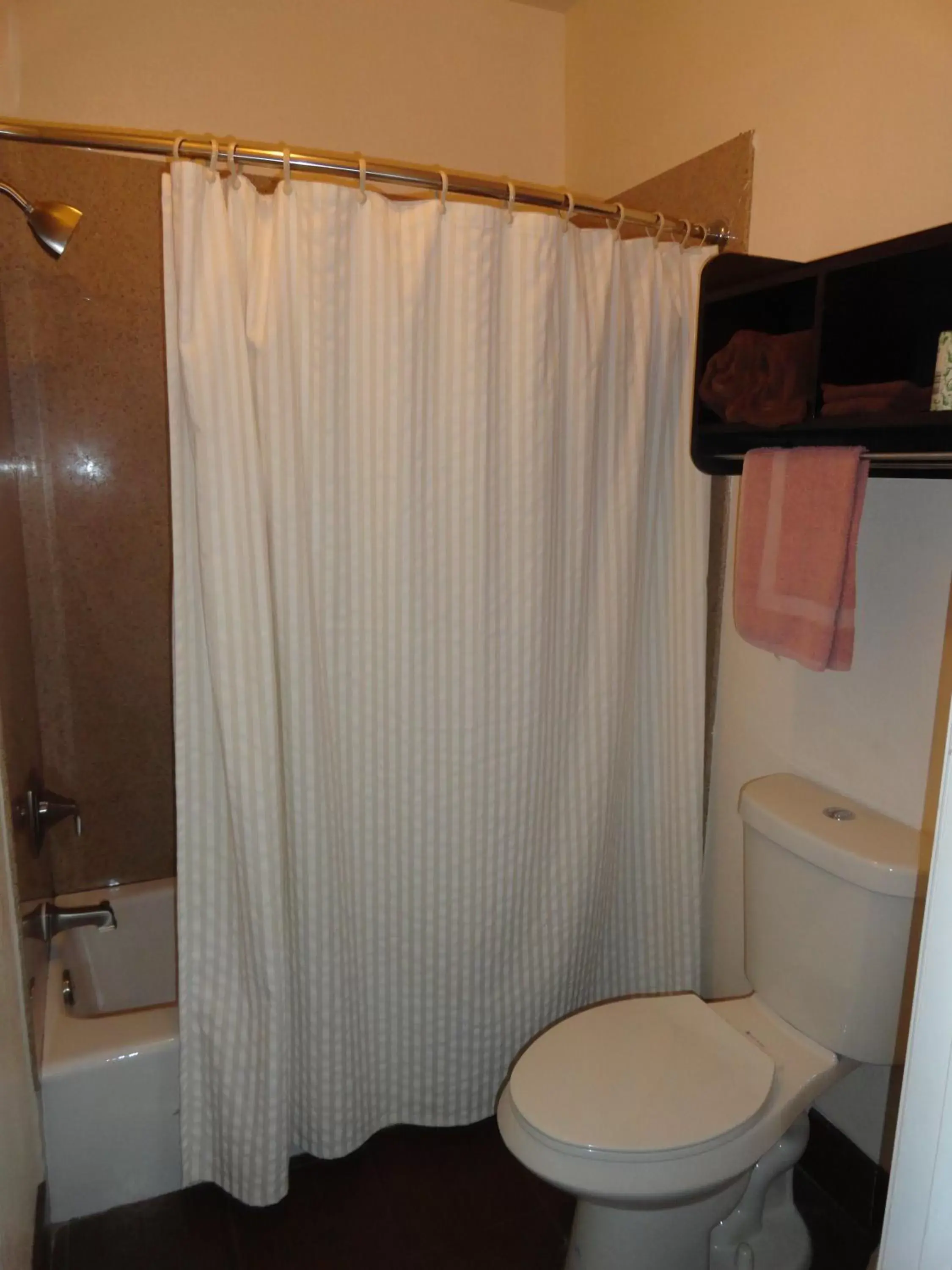 Shower, Bathroom in Americas Best Value Inn - Brownsville