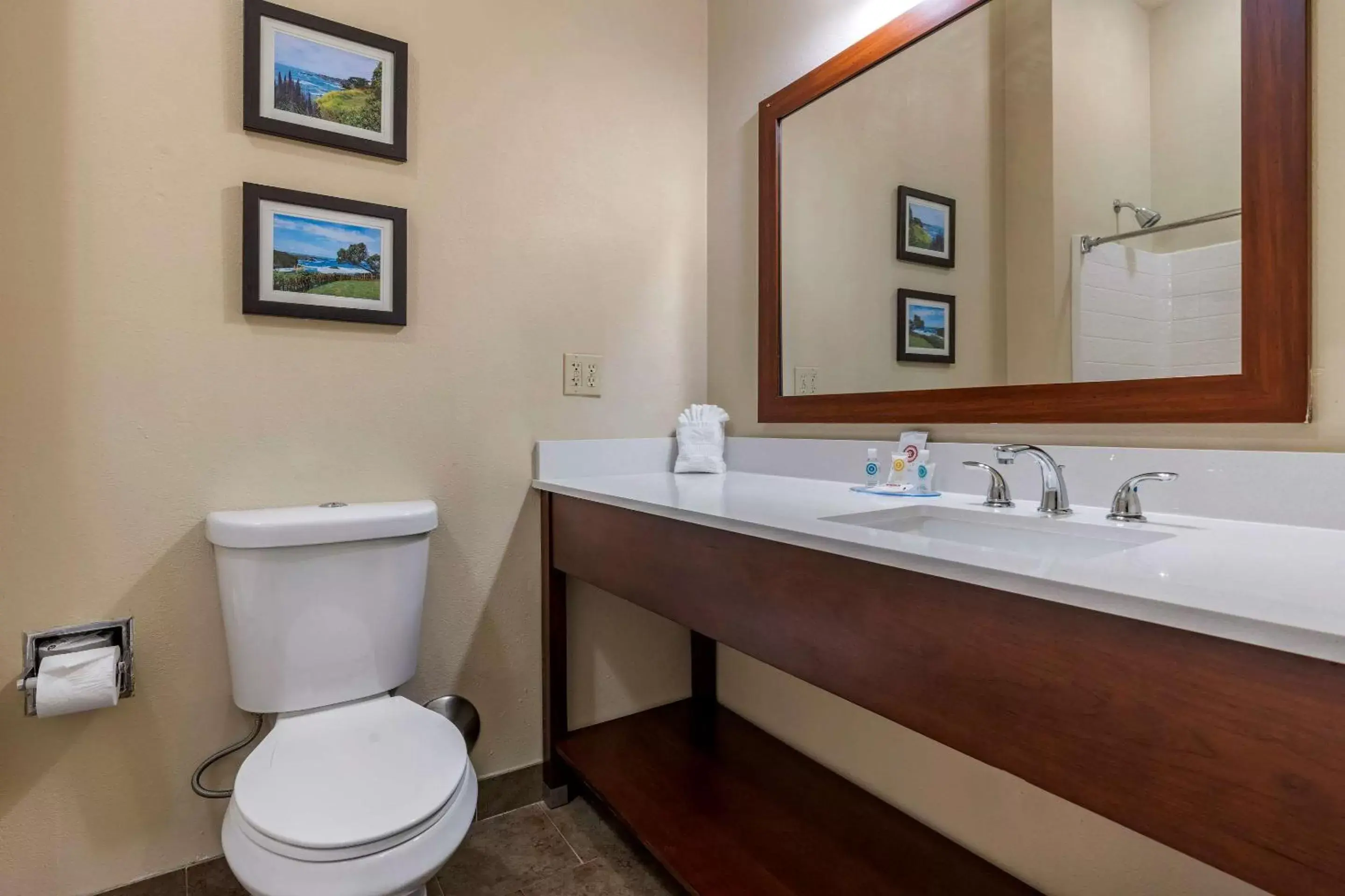 Bedroom, Bathroom in Comfort Inn & Suites Ukiah Mendocino County