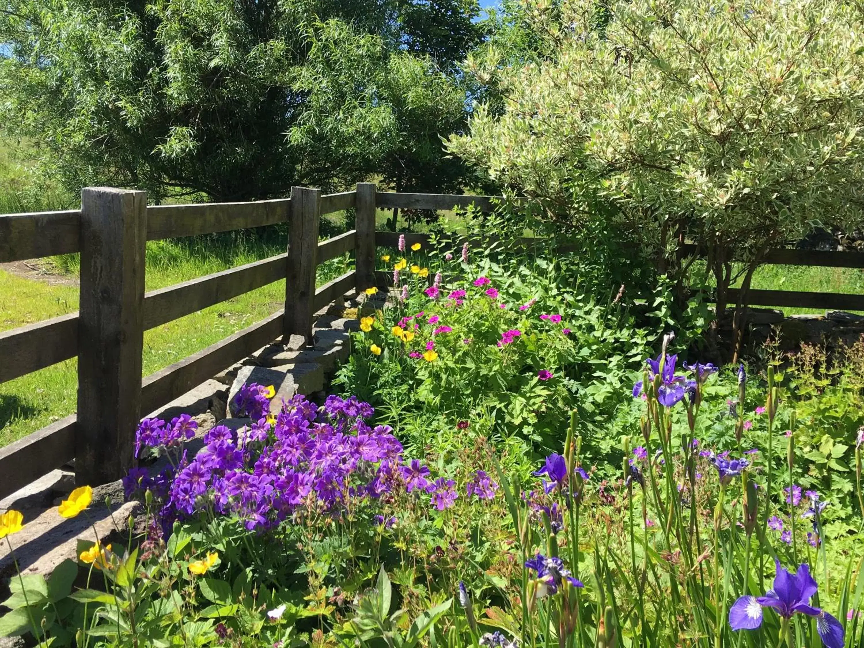 Garden in Errichel House and Cottages