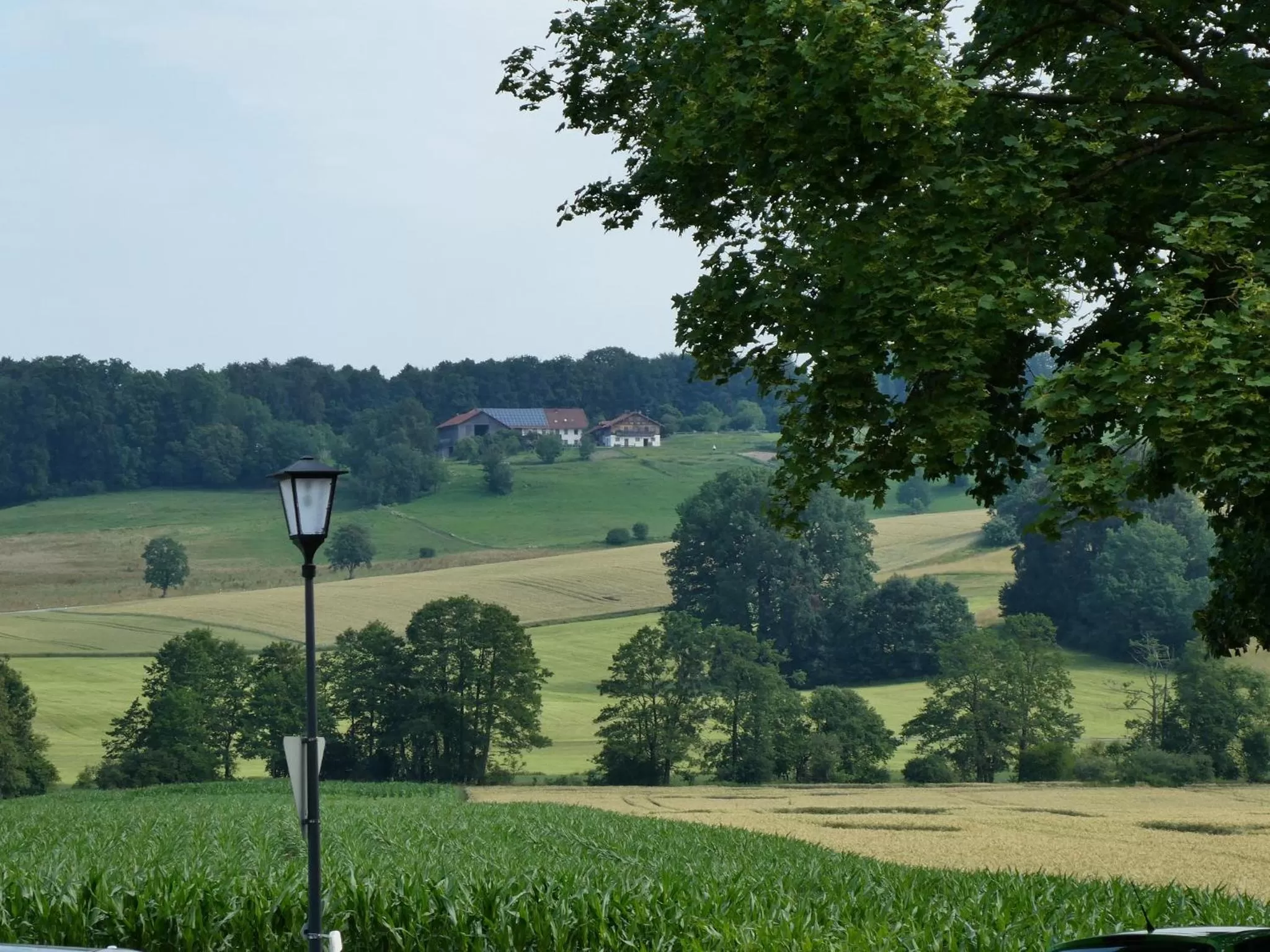 View (from property/room) in Gästehaus Stahuber
