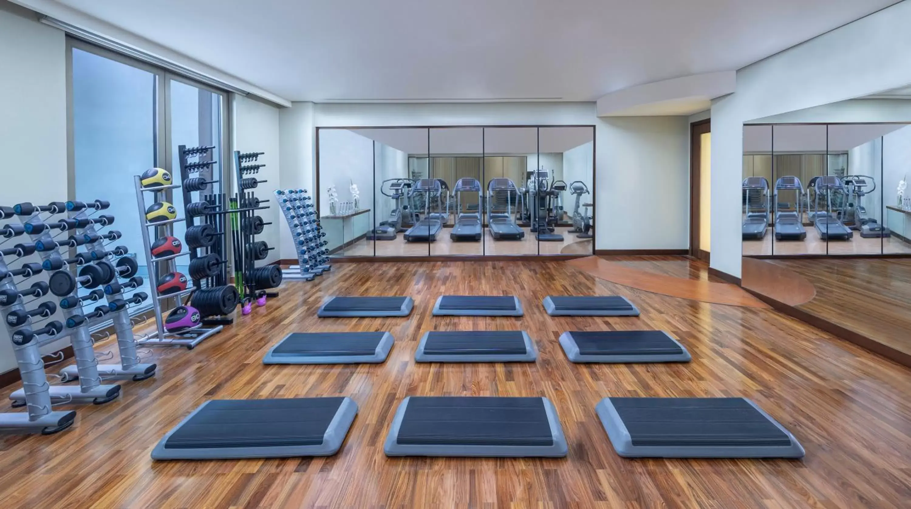 Fitness centre/facilities, Fitness Center/Facilities in Al Faisaliah Hotel, Riyadh