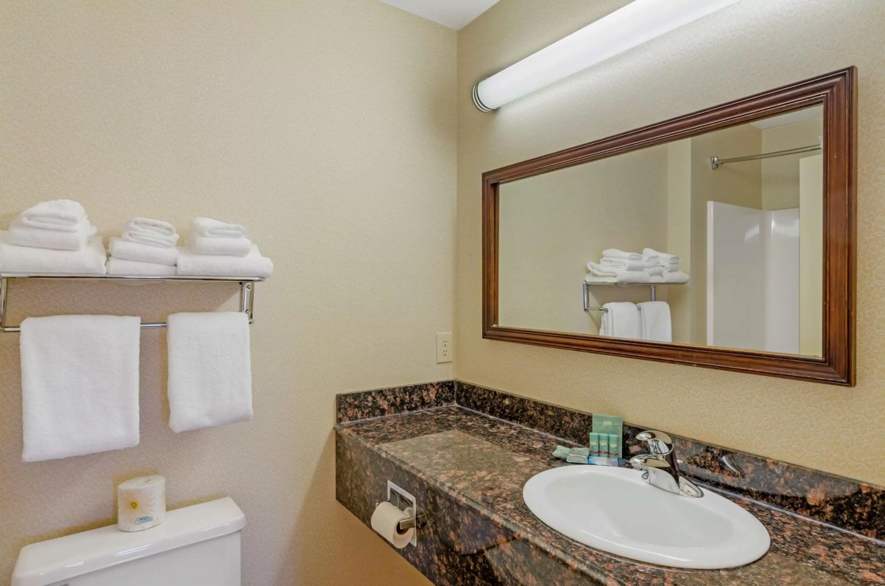 Bathroom in Best Western North Roanoke