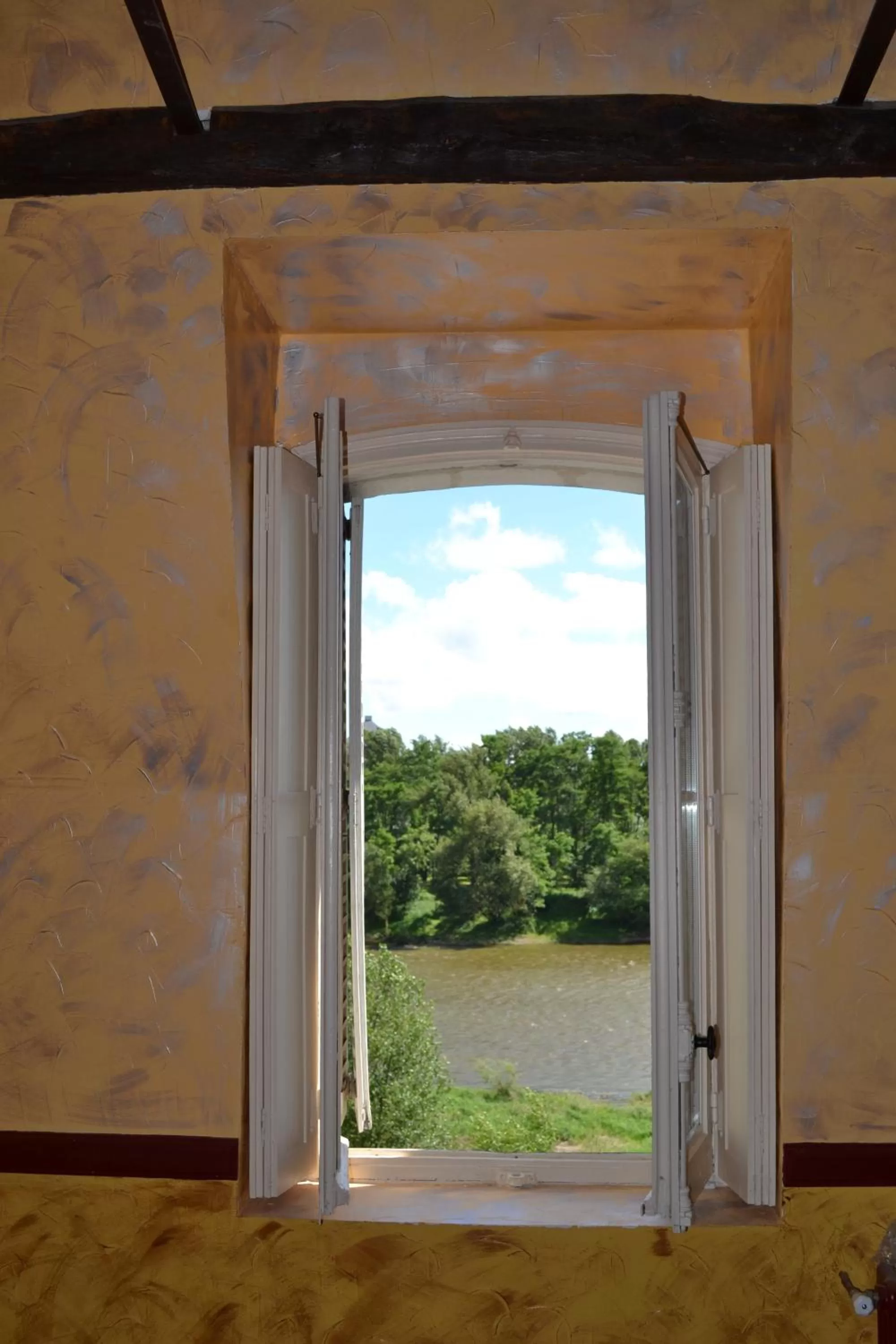 View (from property/room) in Lit en Loire