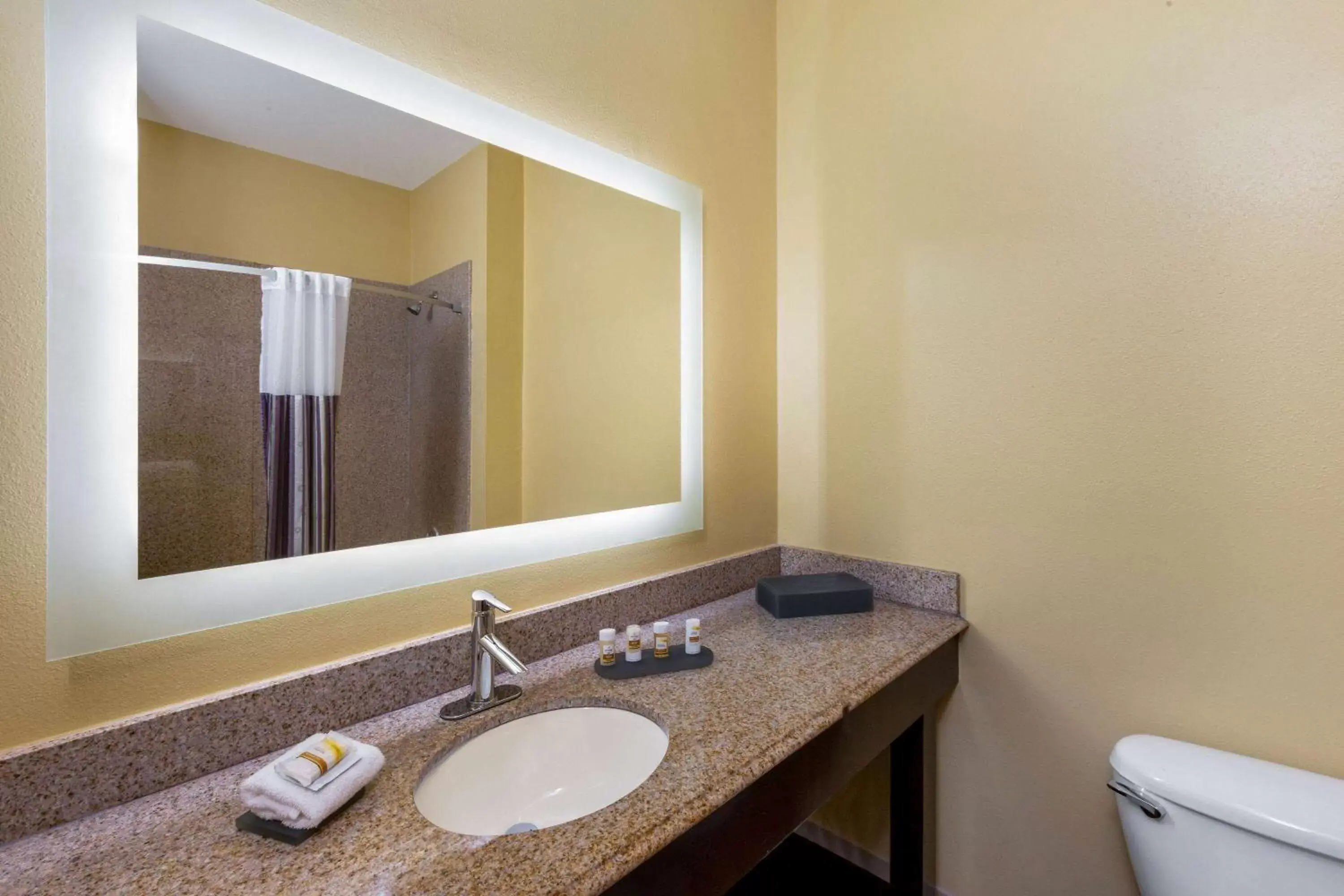 Bathroom in La Quinta by Wyndham Angleton