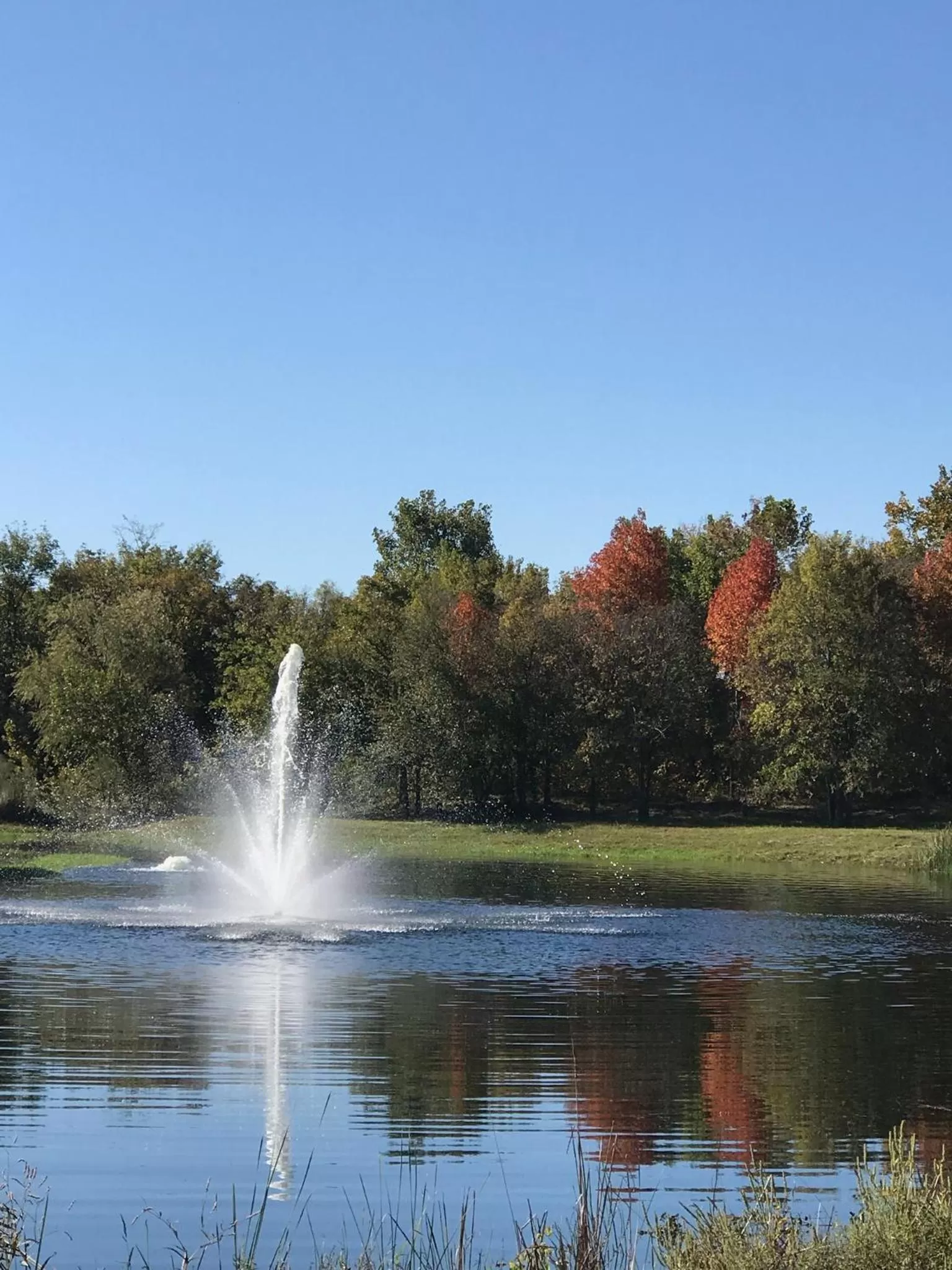 The Plantation House Boutique Inn