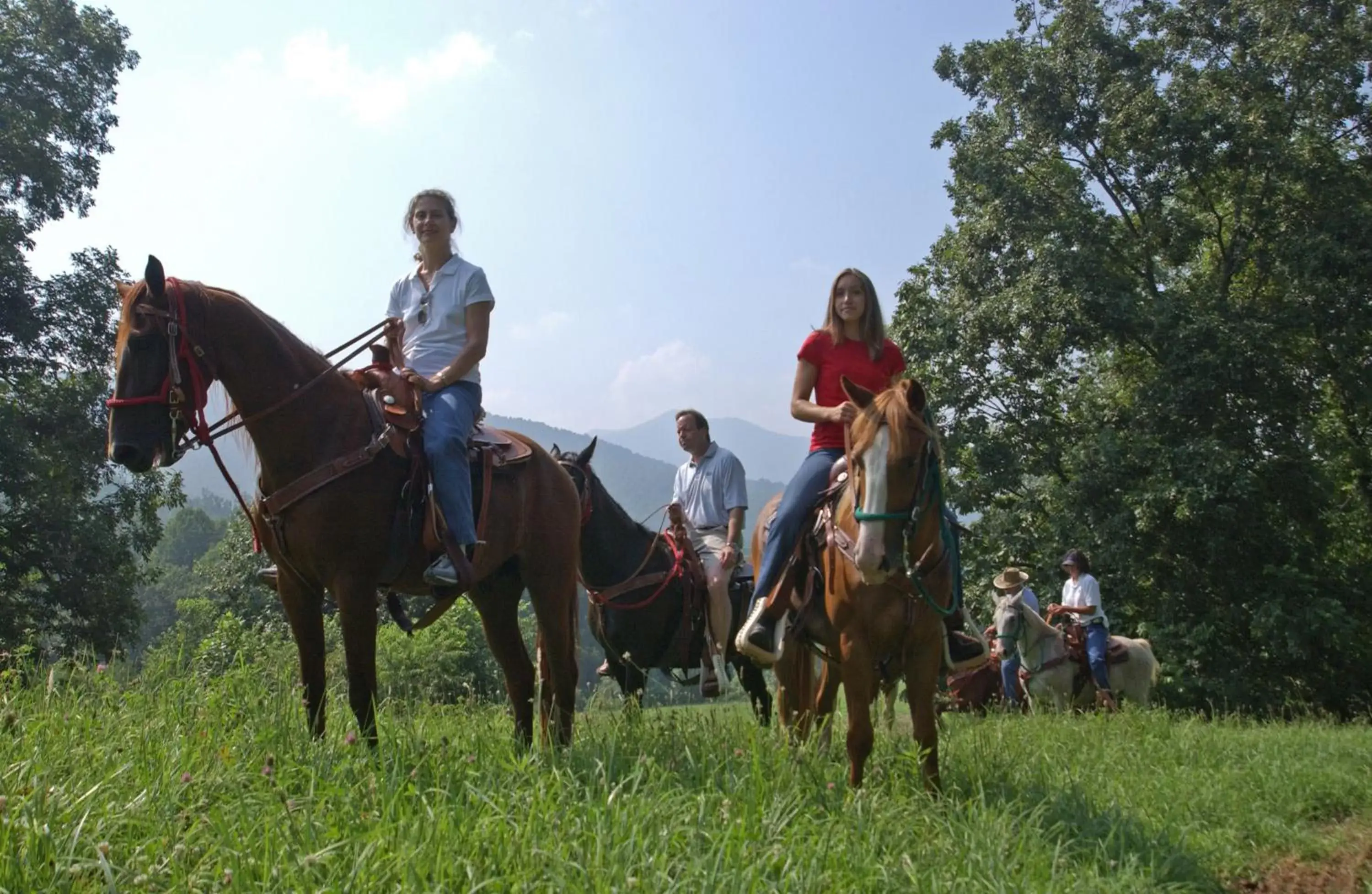 Horse-riding, Horseback Riding in Brasstown Valley Resort & Spa