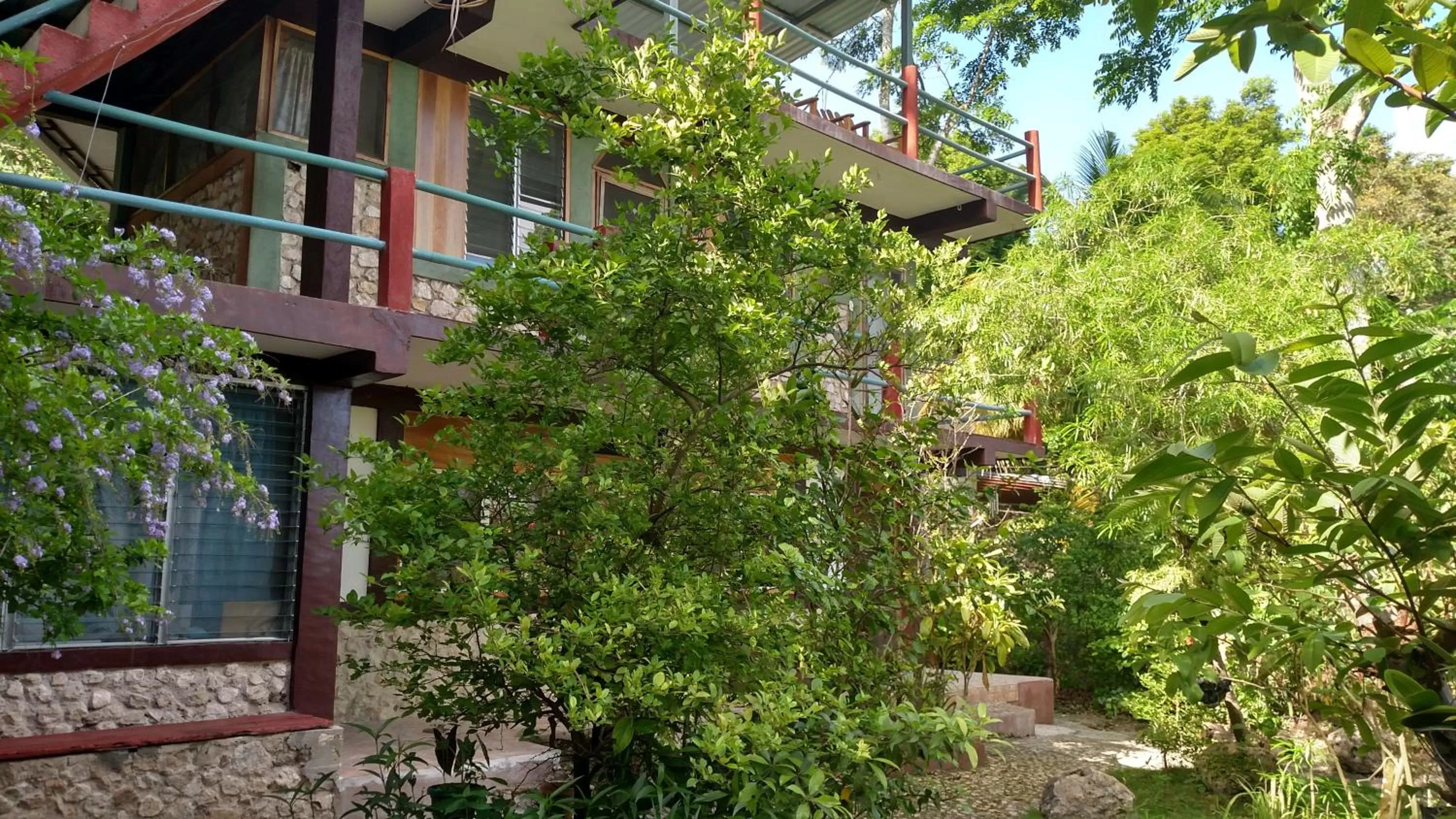 Facade/entrance in Zapote Tree Inn