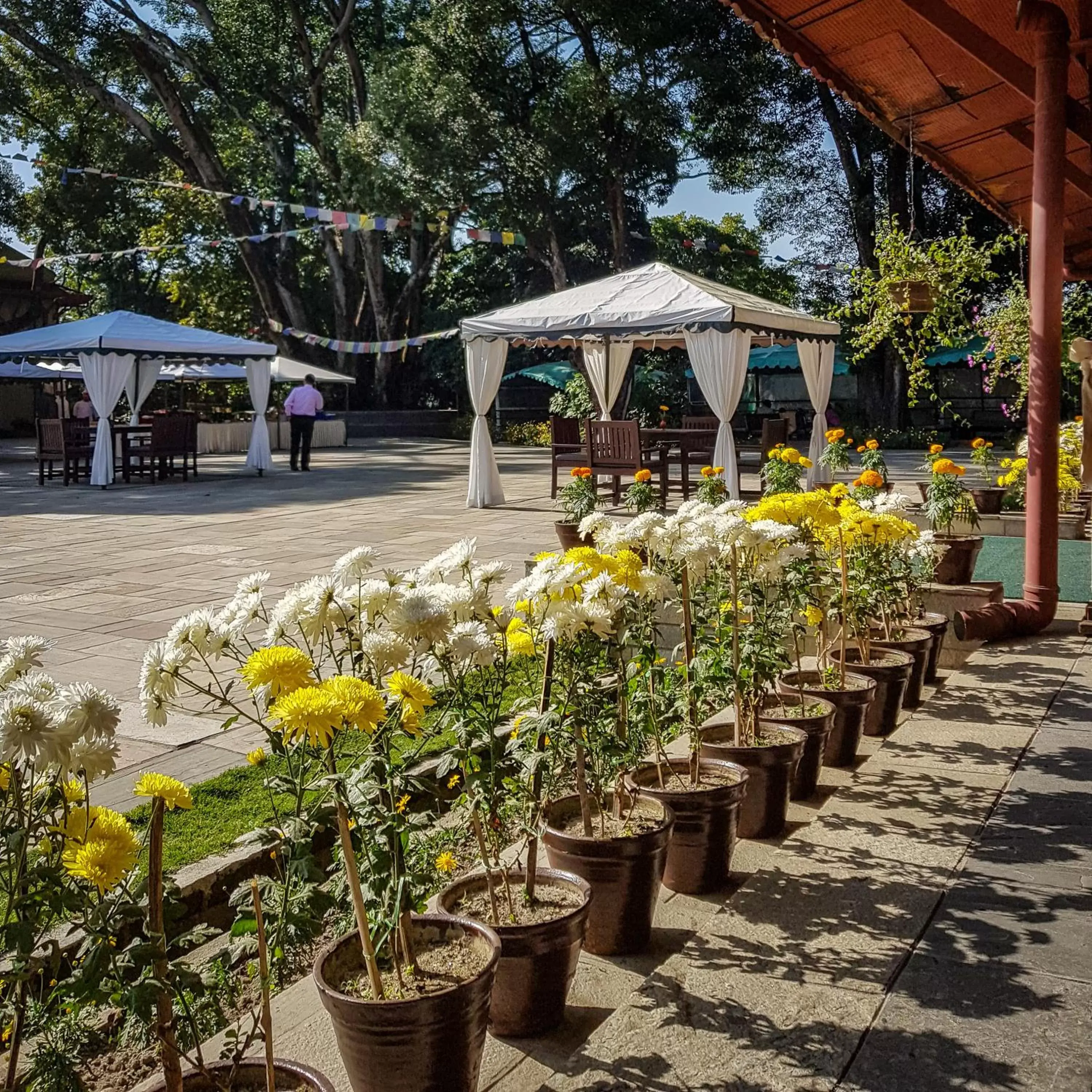 Patio, Beach in Gokarna Forest Resort