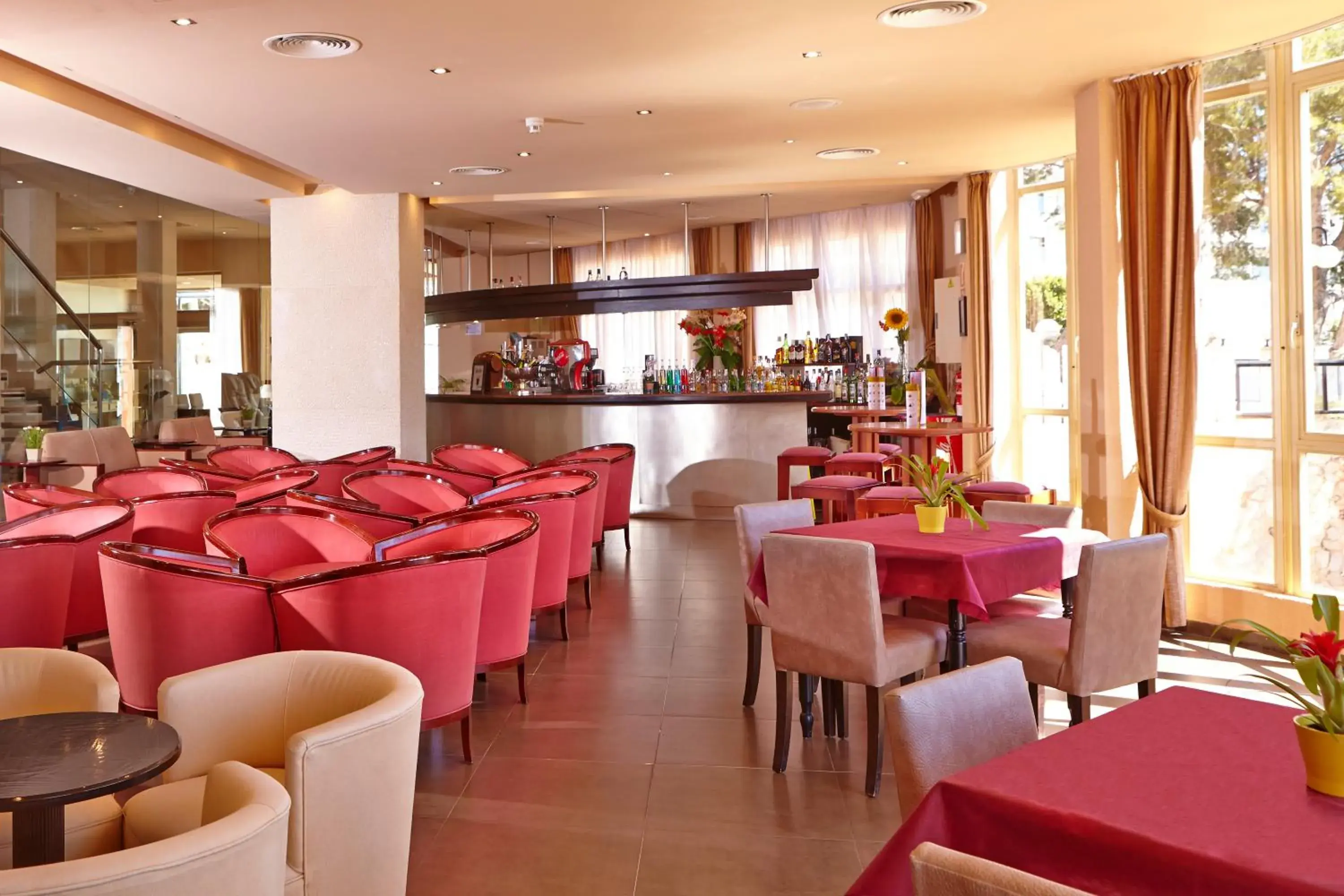 Lounge or bar, Restaurant/Places to Eat in MLL Blue Bay