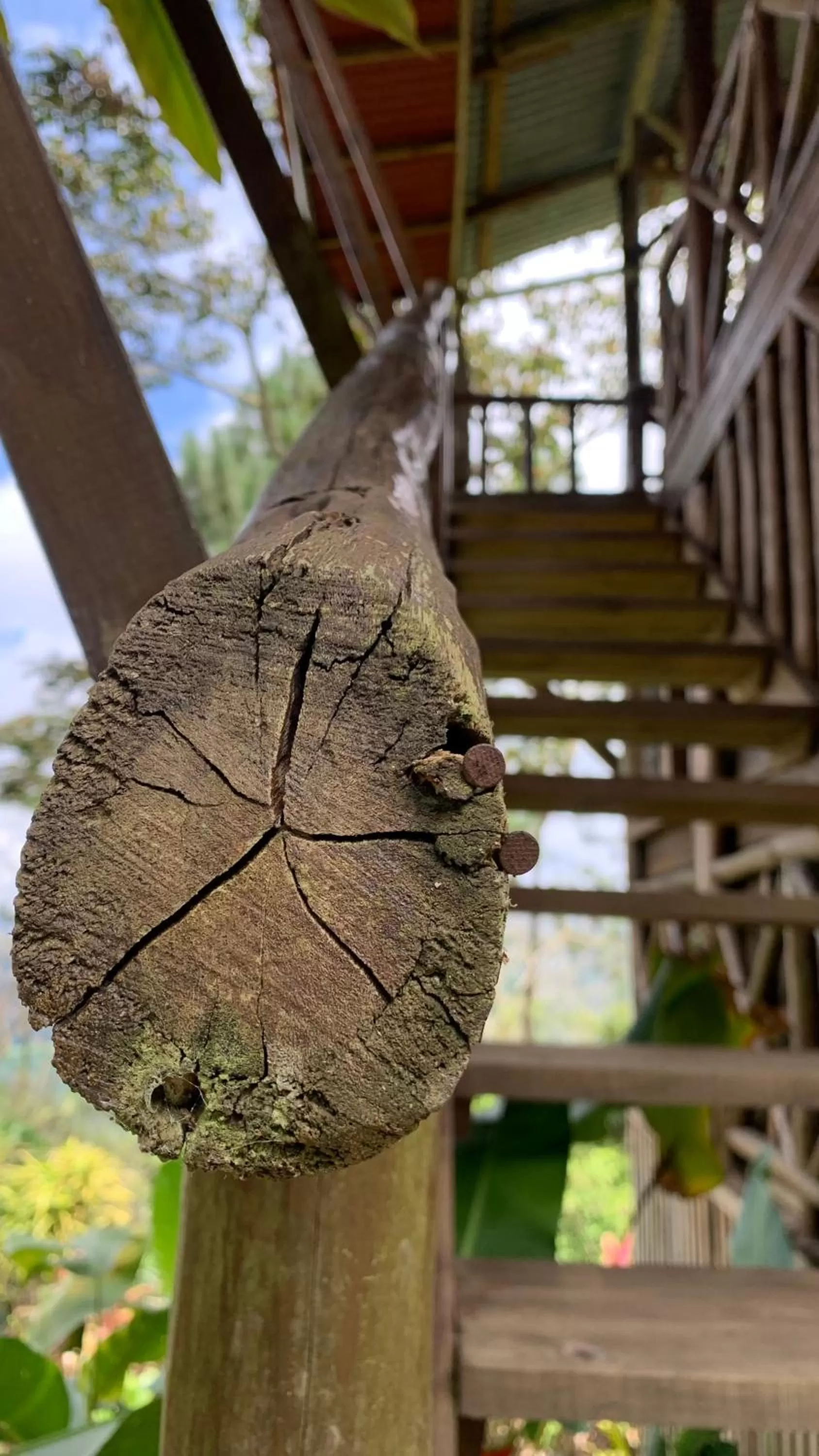 Property building, Other Animals in Vista Turrialba Lodge