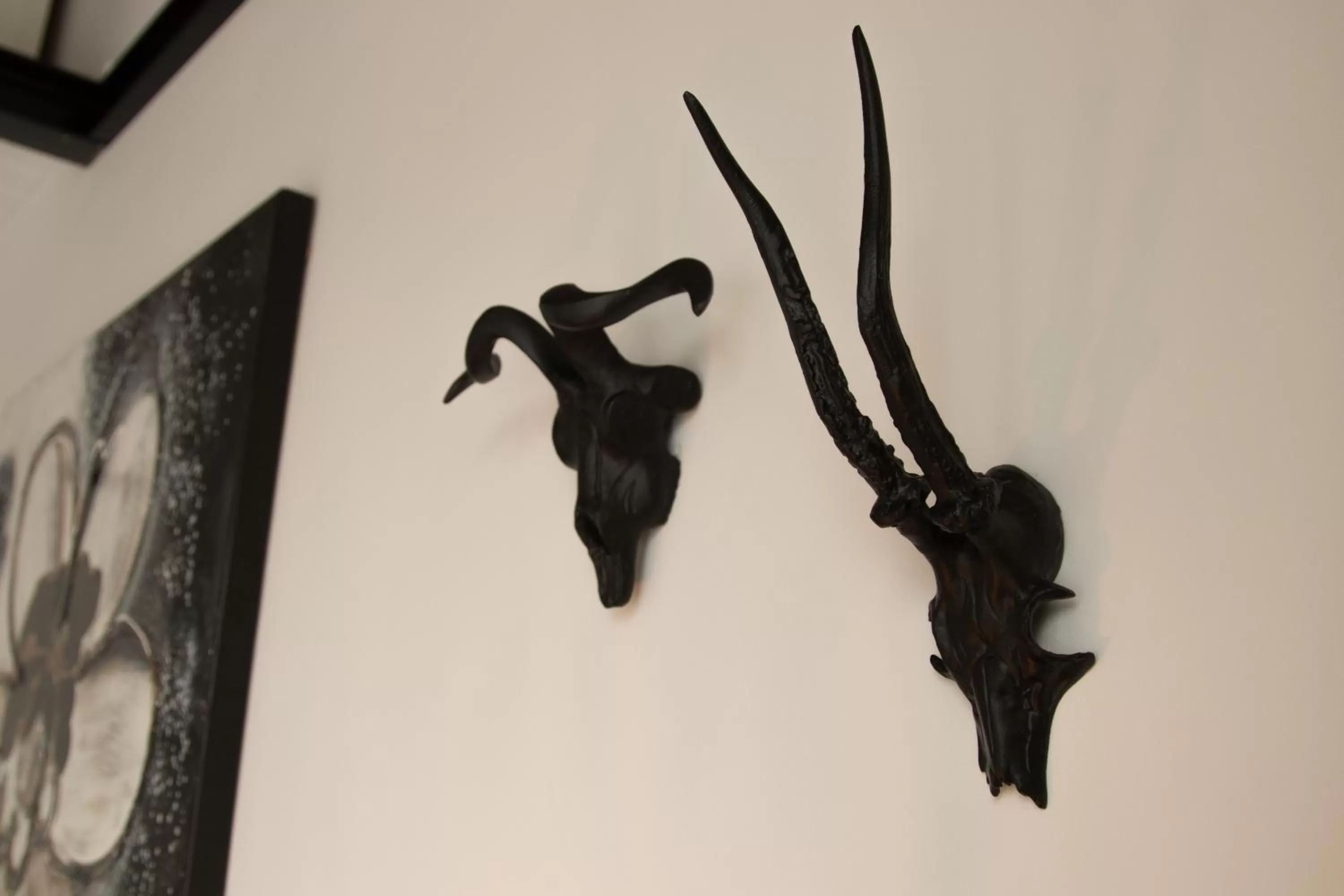 Decorative detail in BnB Purmerland