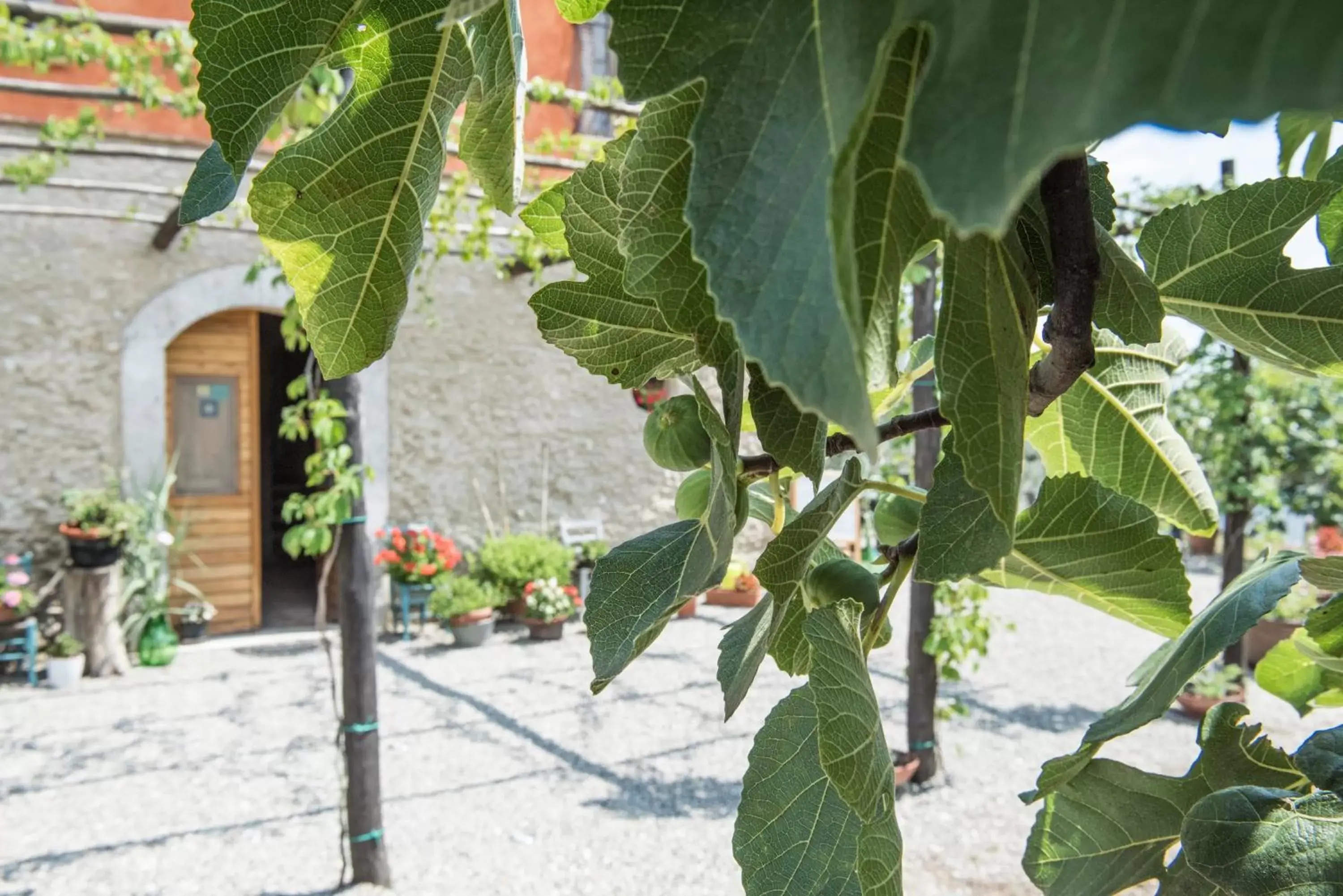 Decorative detail in B&B Rifugio tra gli Ulivi