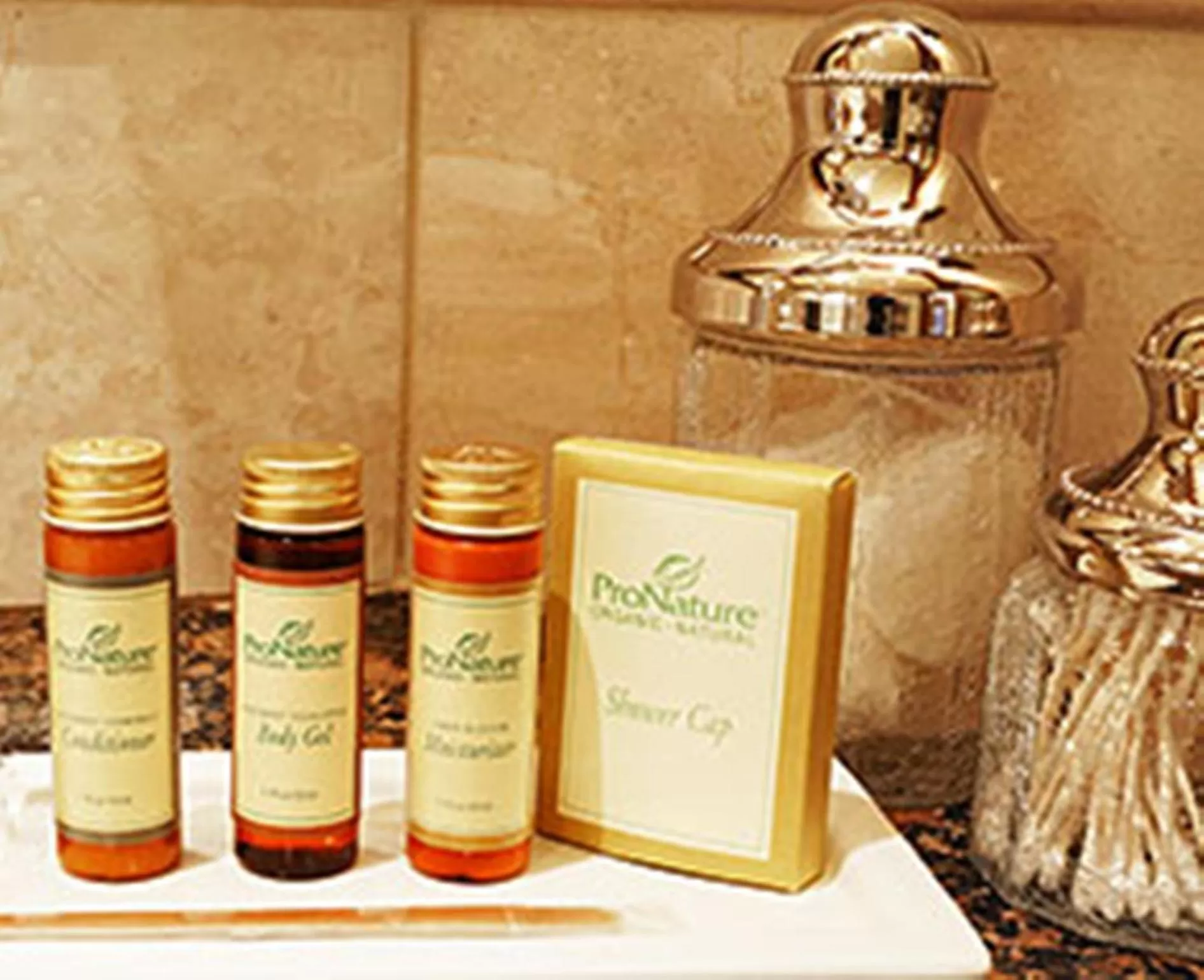 Other in The Rose Hotel