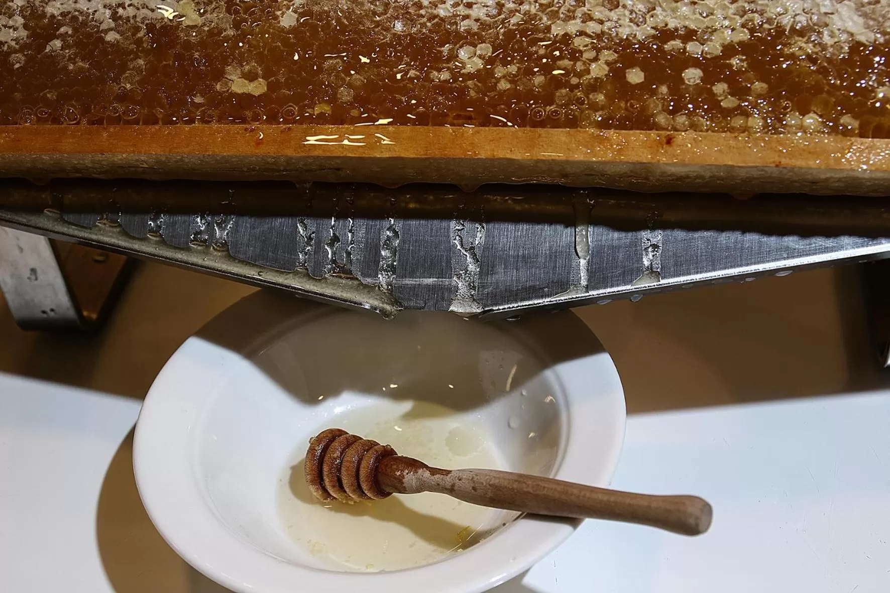 Continental breakfast in Best Western JFK Hotel