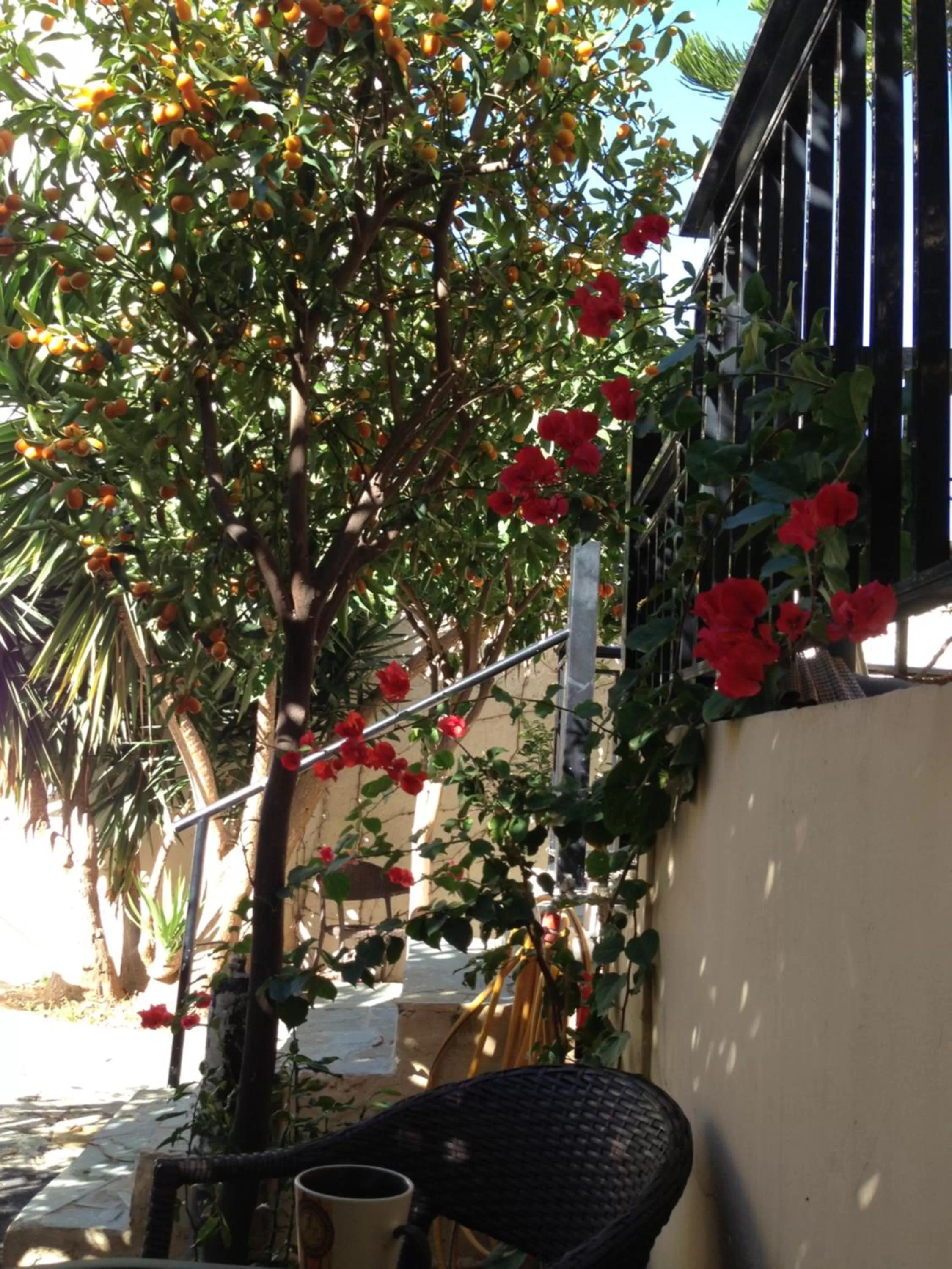 Garden in Candia Hotel