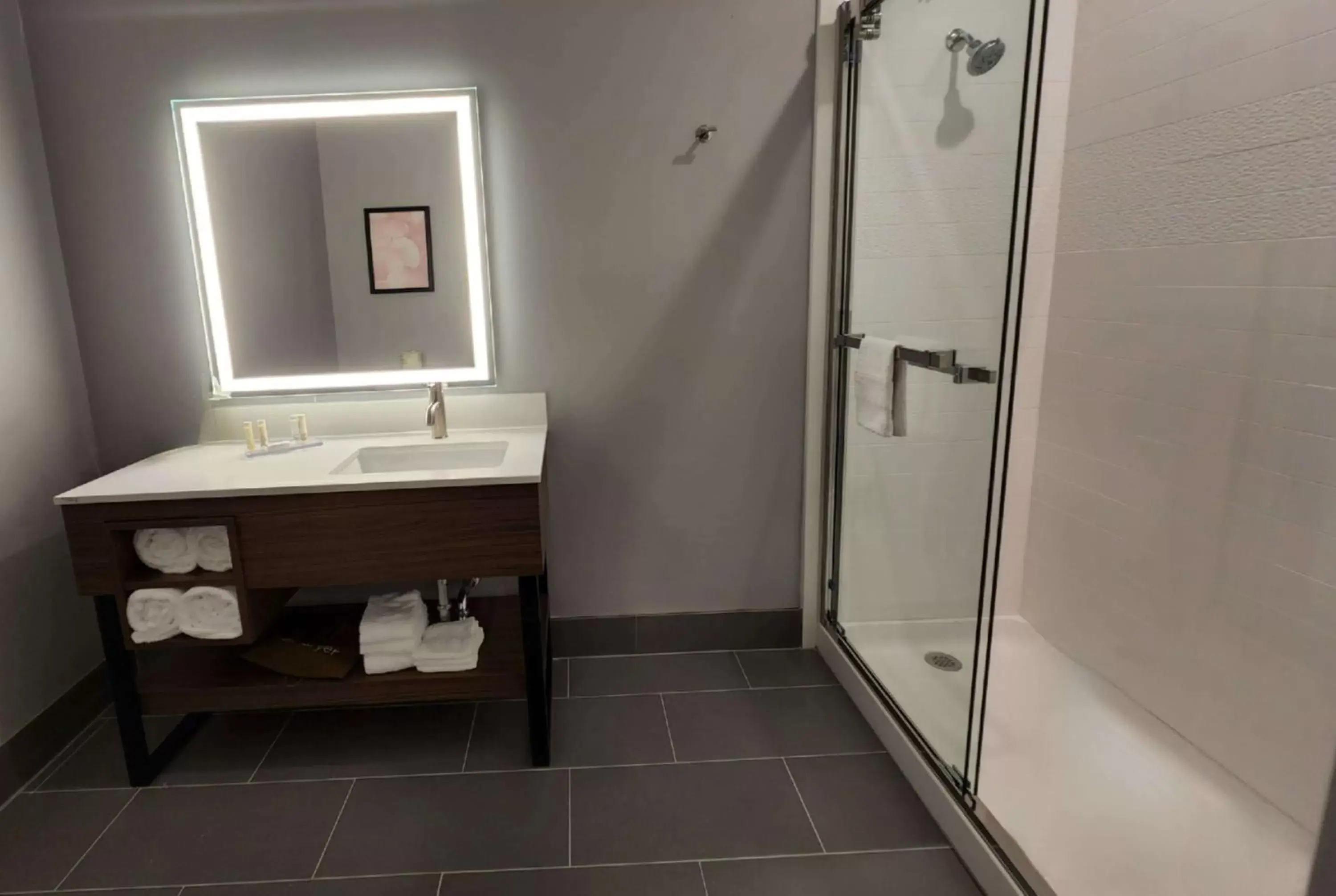 TV and multimedia, Bathroom in La Quinta Inn & Suites by Wyndham Pflugerville