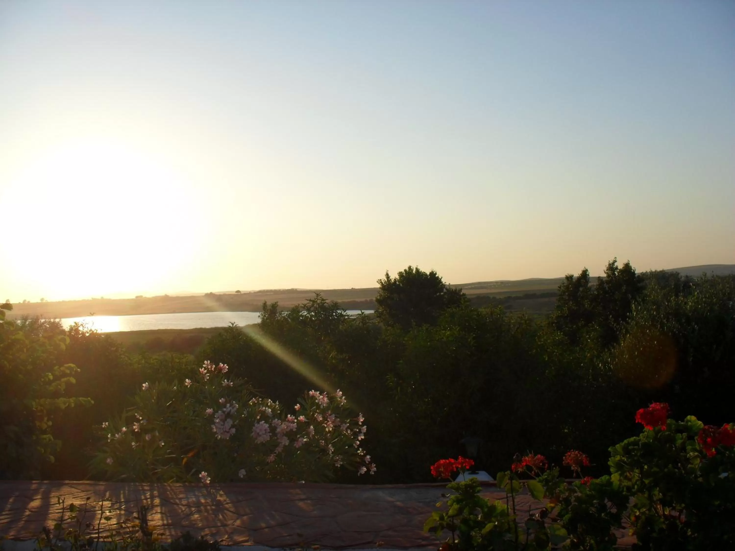 Area and facilities in Hacienda El Santiscal Adults Only