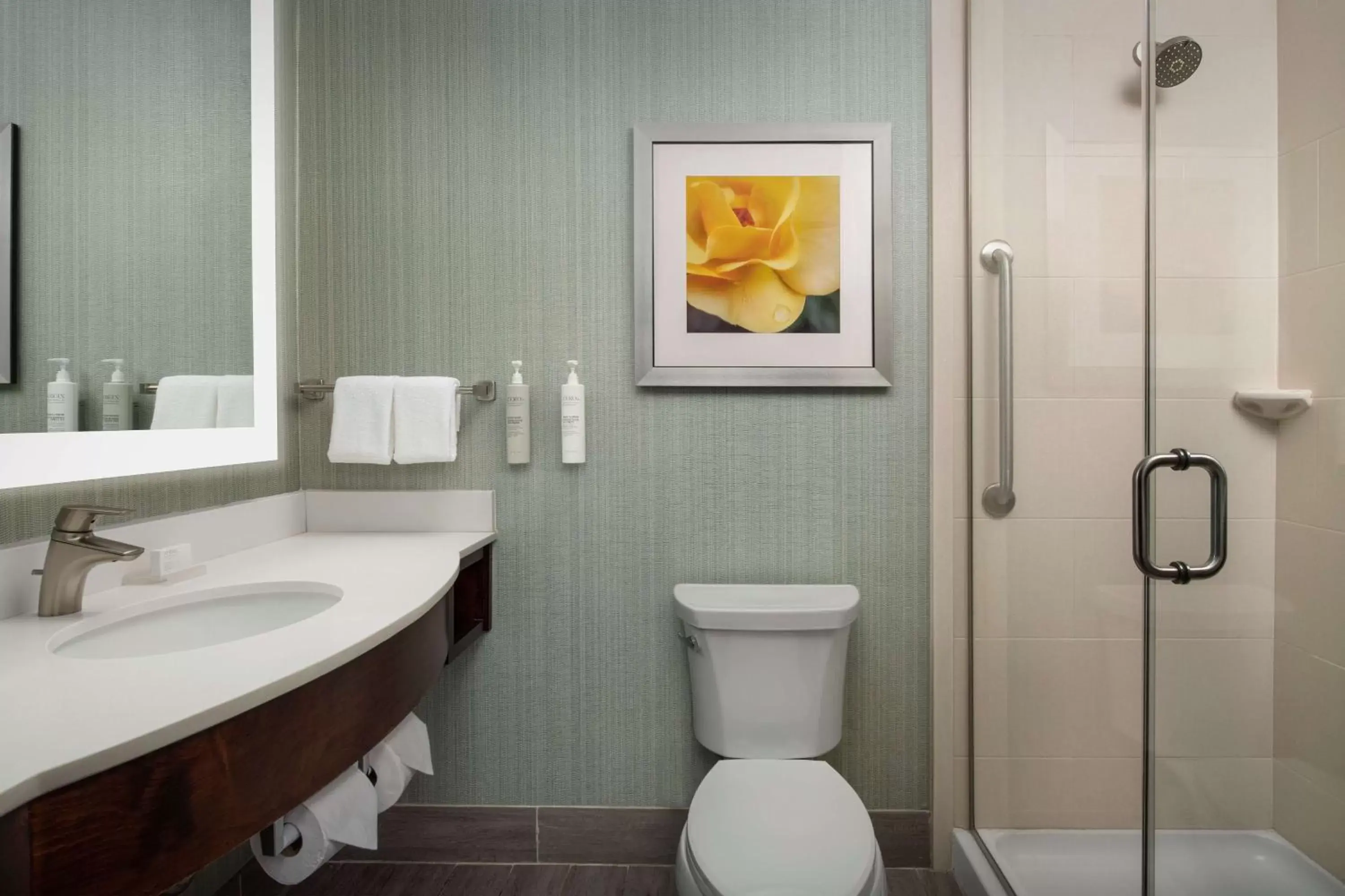 One King Hearing Accessible in Hilton Garden Inn Murfreesboro One King Hearing Accessible in Hilton Garden Inn Murfreesboro