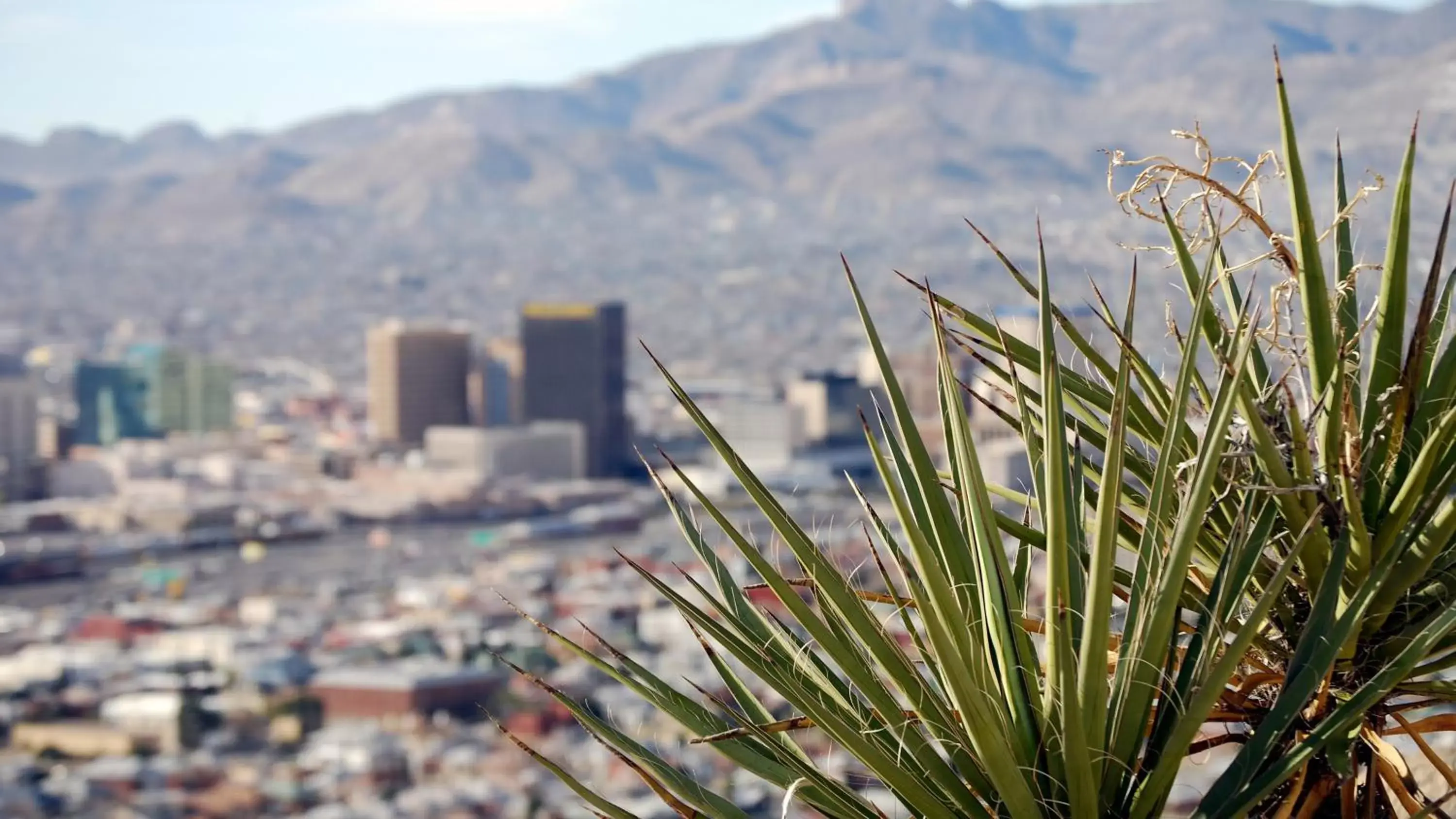 Area and facilities in Hotel Indigo El Paso Downtown, an IHG Hotel