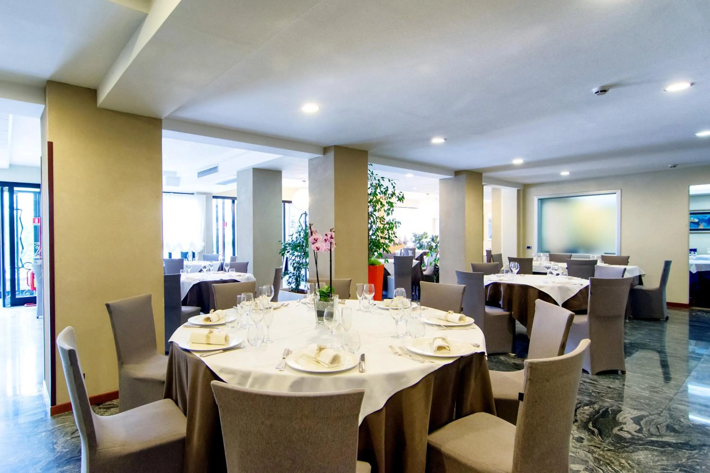 Restaurant/places to eat in Hotel Concorde