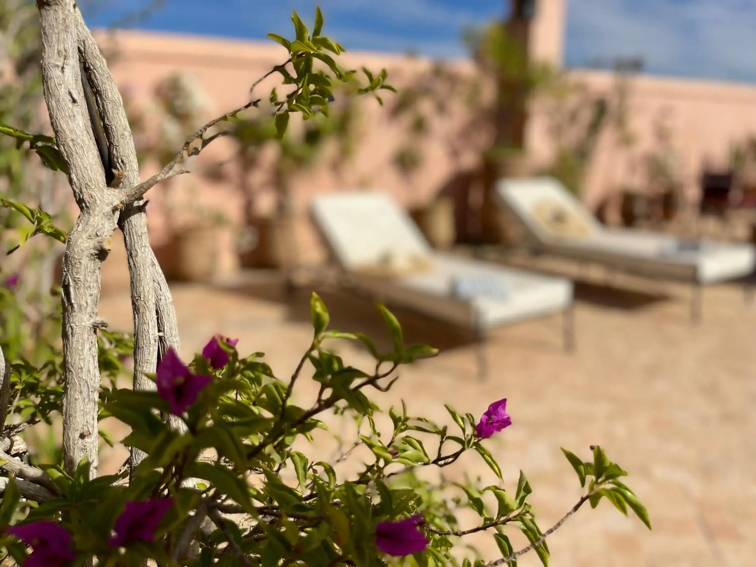 Balcony/Terrace in Riad Dar Foundouk and Spa