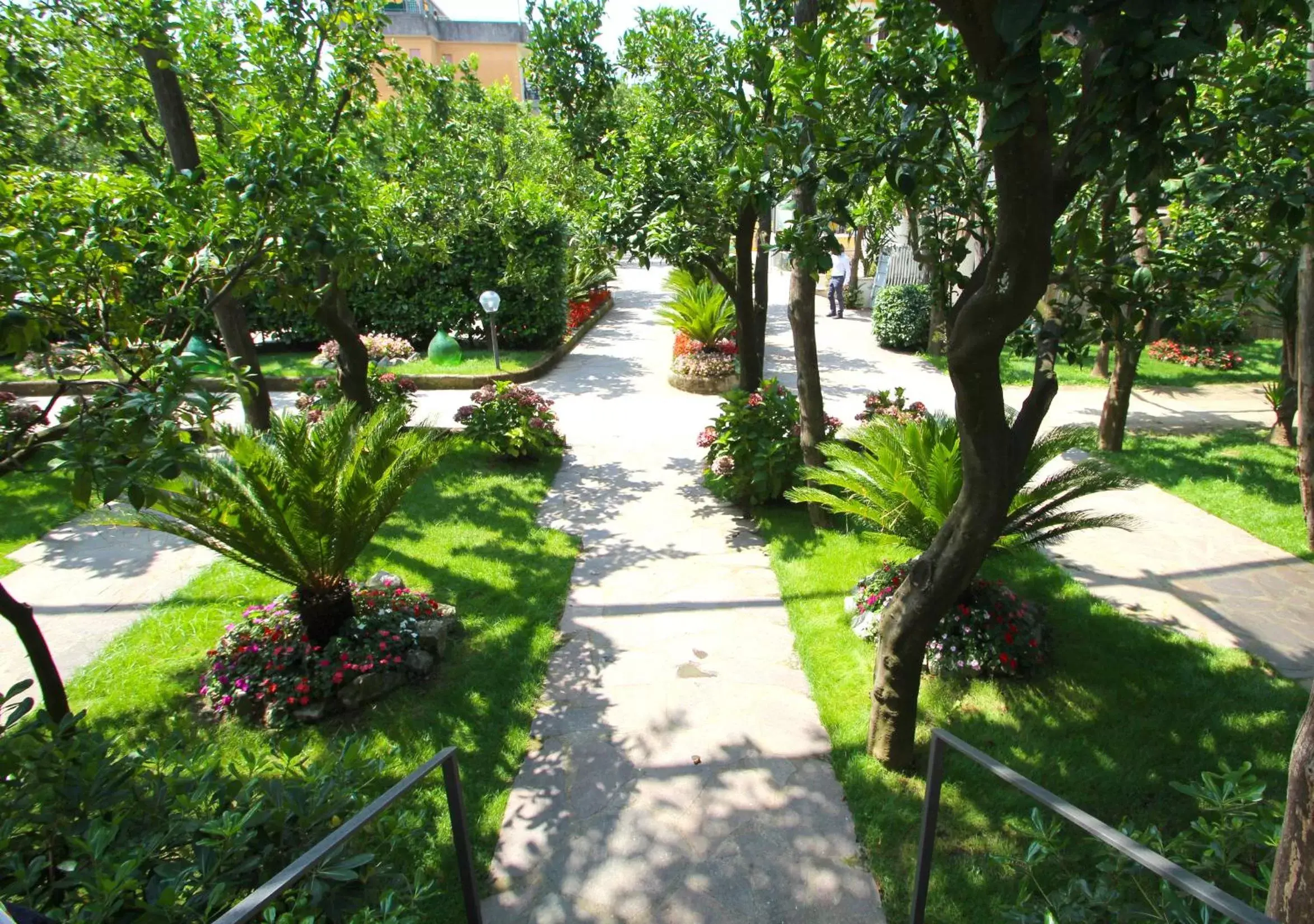 Garden in Hotel Florida