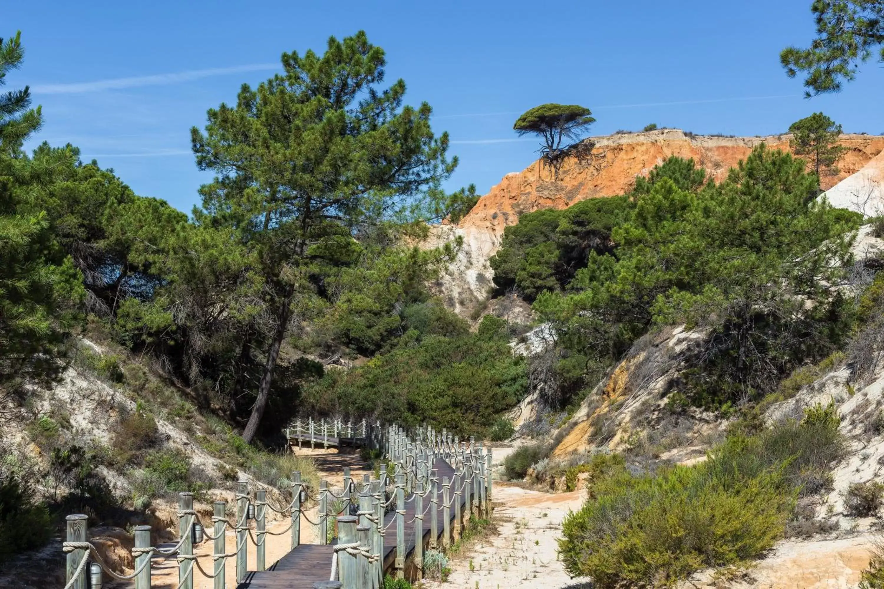 Beach, Natural Landscape in Pine Cliffs Residence, a Luxury Collection Resort, Algarve