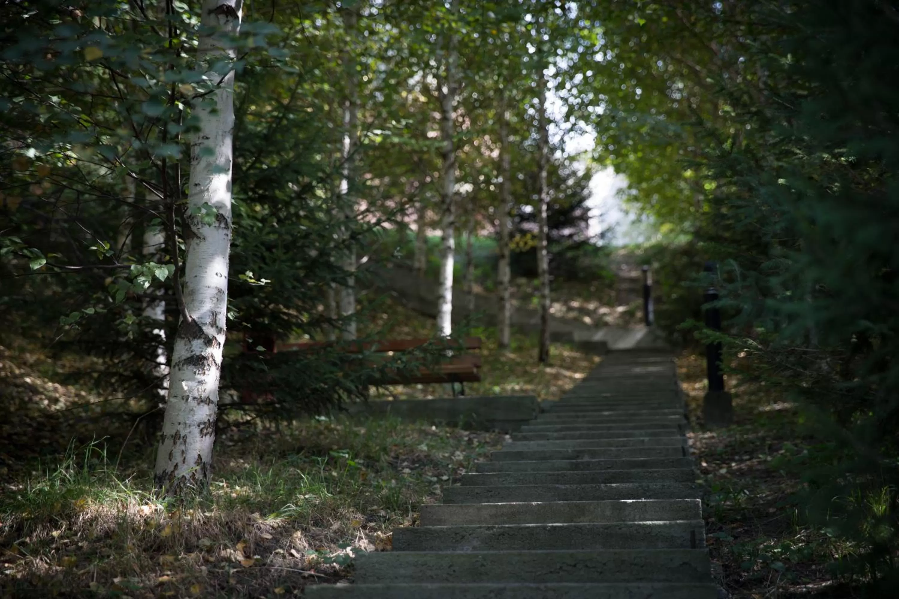 Natural landscape in Alpen Ville