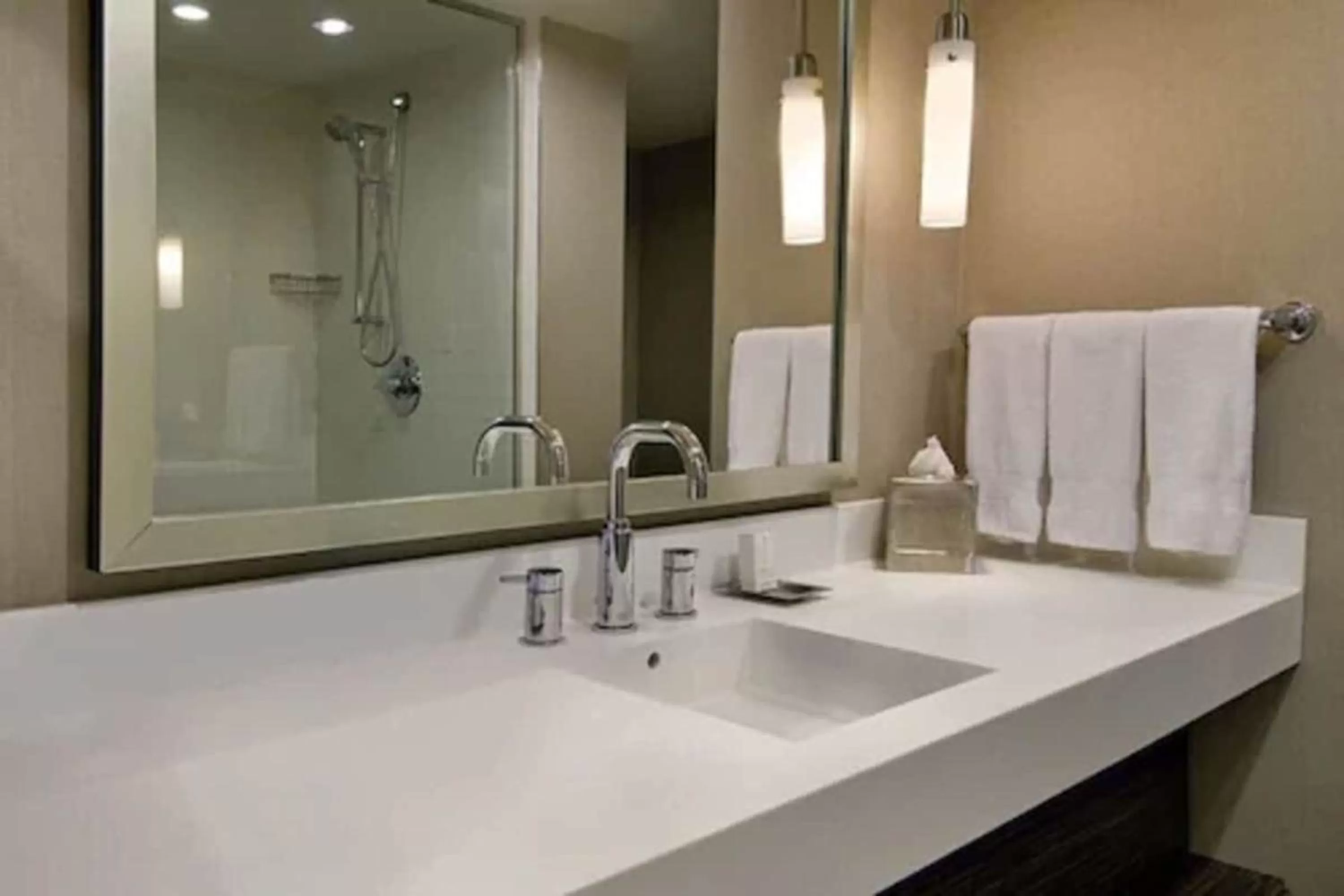 Bathroom in Hilton Toronto Airport Hotel & Suites