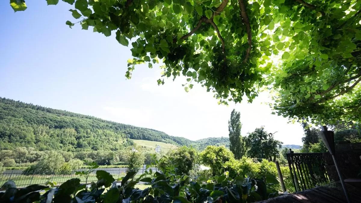 Balcony/Terrace in Boutiquehotel Kloster Pfalzel